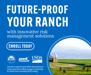 National Pork Board - Digital Marketing