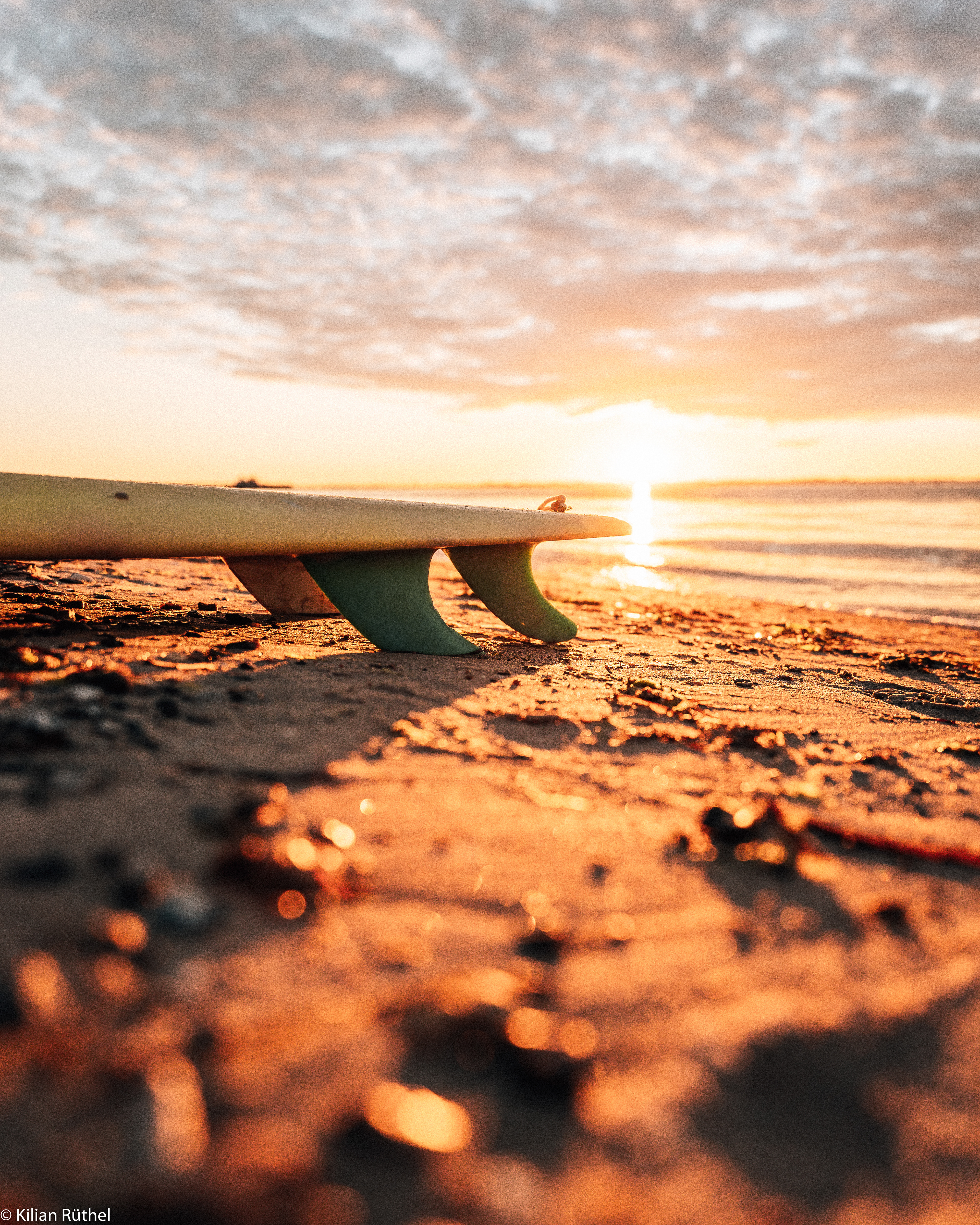 Surendorf, Germany 2020