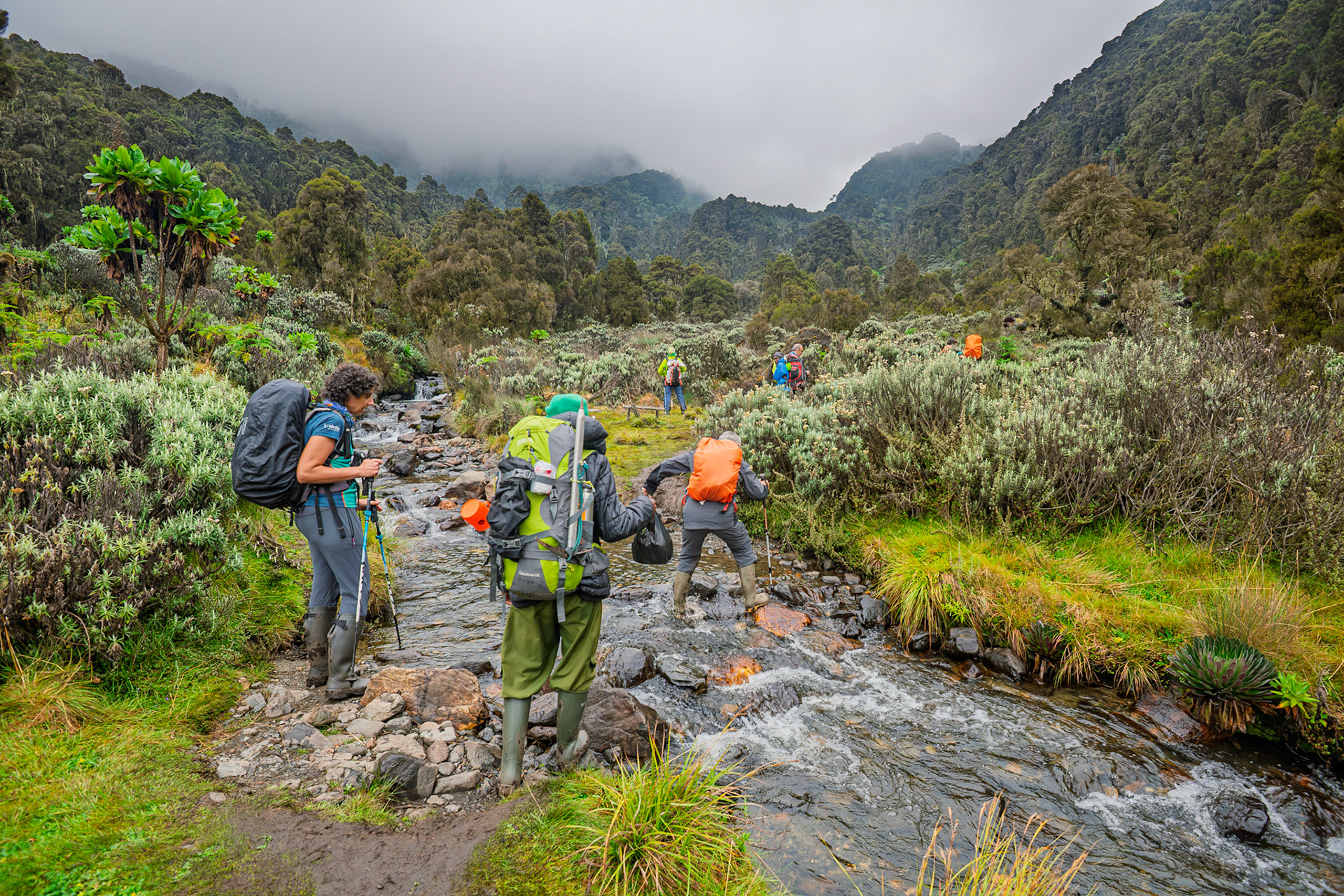 | Day 3. John Matte Hut (3.505 m) - Bujuku Hut (3.977 m) |  Rwenzori Mountains | Uganda | |  Rwenzori Mountains | Uganda |