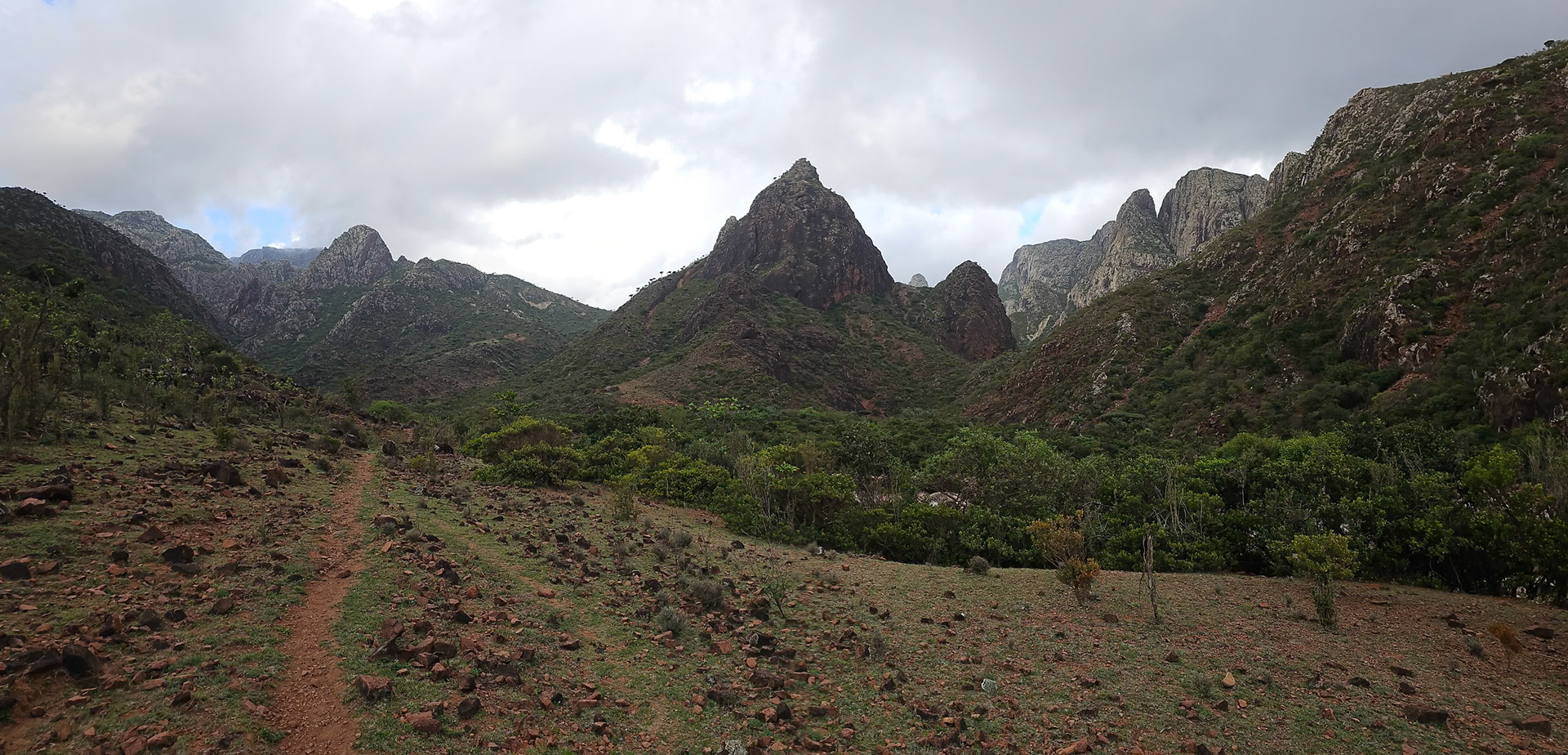 | Socotra  Oct '24 | Day 4 | October 10th | Mount Haggeher Trek | Adho di Meleh - Wadi Dhamdhar |