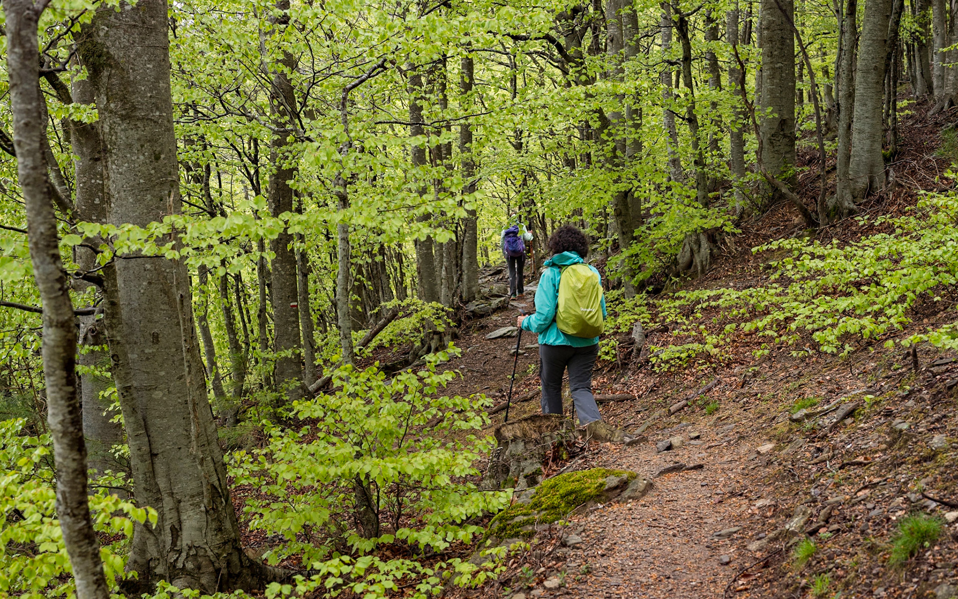 ARP 40. Les Illes - Coll de l'Ullat