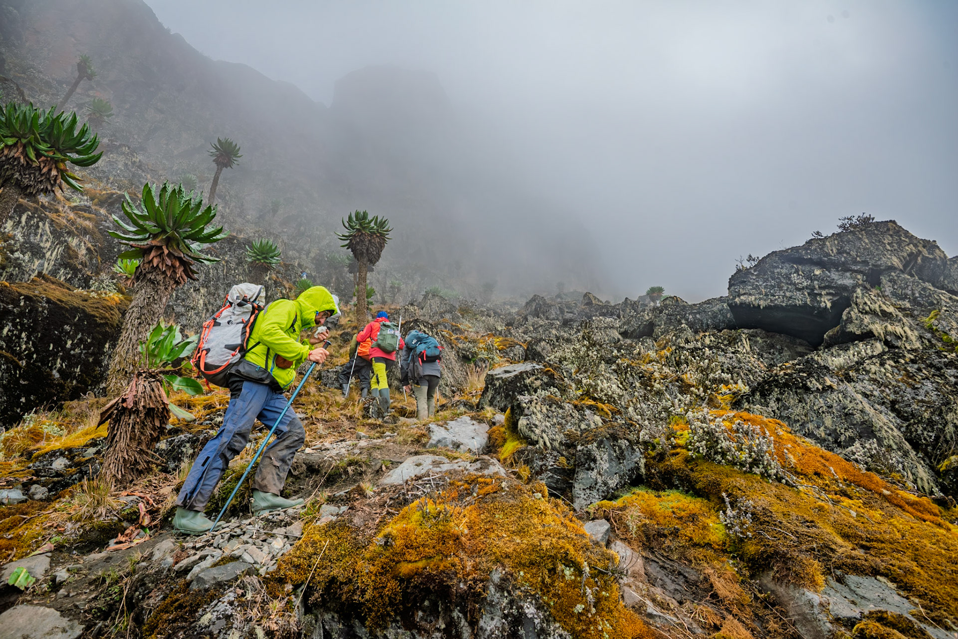 | Day 4. Bujuku Hut (3.977 m) - Elena Hut (4,541 m) |  Rwenzori Mountains | Uganda |  Rwenzori Mountains | Uganda |