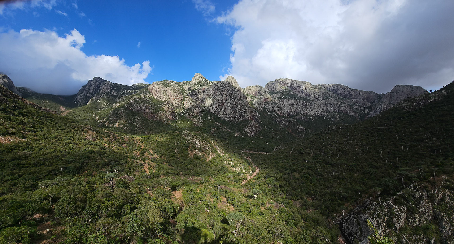 | Socotra  Oct '24 | Day 4 | October 10th | Mount Haggeher Trek | Adho di Meleh - Wadi Dhamdhar |