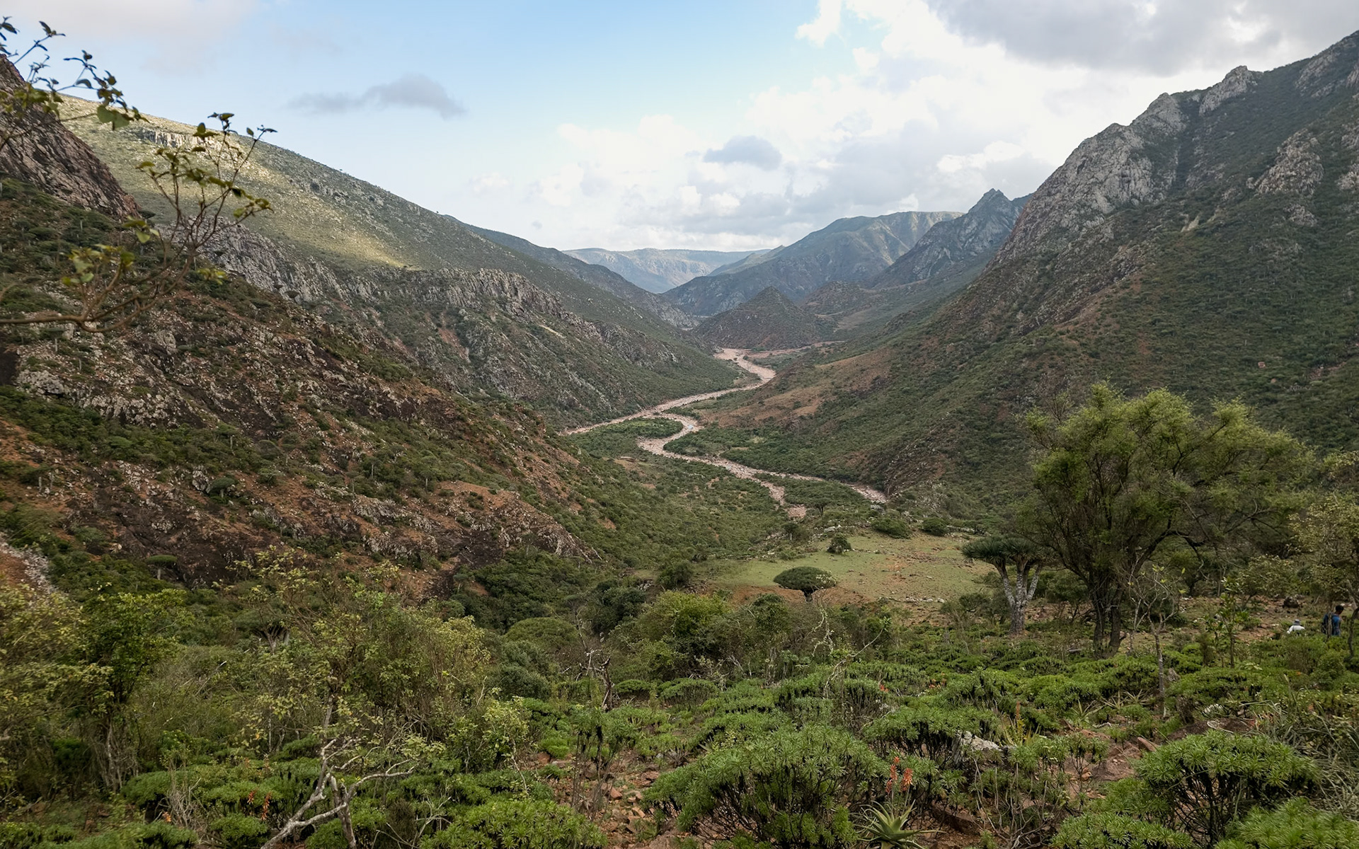 | Socotra  Oct '24 | Day 4 | October 10th | Mount Haggeher Trek | Adho di Meleh - Wadi Dhamdhar |