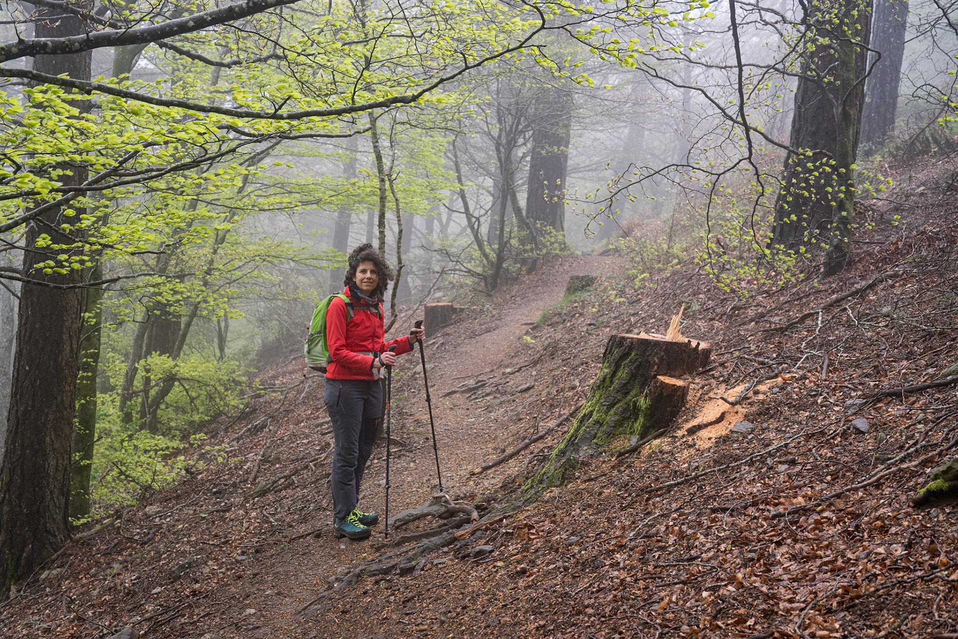 ARP 41.1. Coll de l'Ullat - Coll de Banyuls