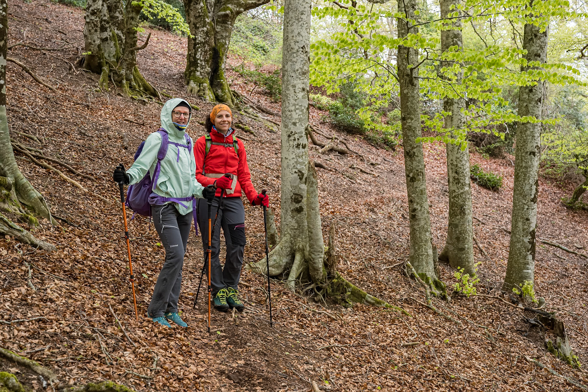 ARP 41.1. Coll de l'Ullat - Coll de Banyuls