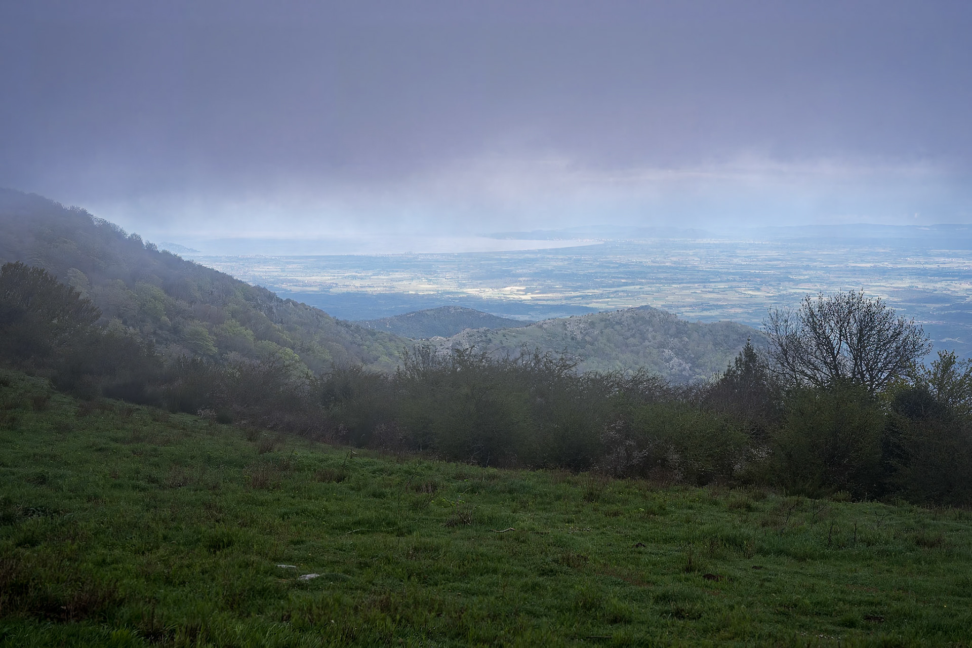 ARP 41.1. Coll de l'Ullat - Coll de Banyuls
