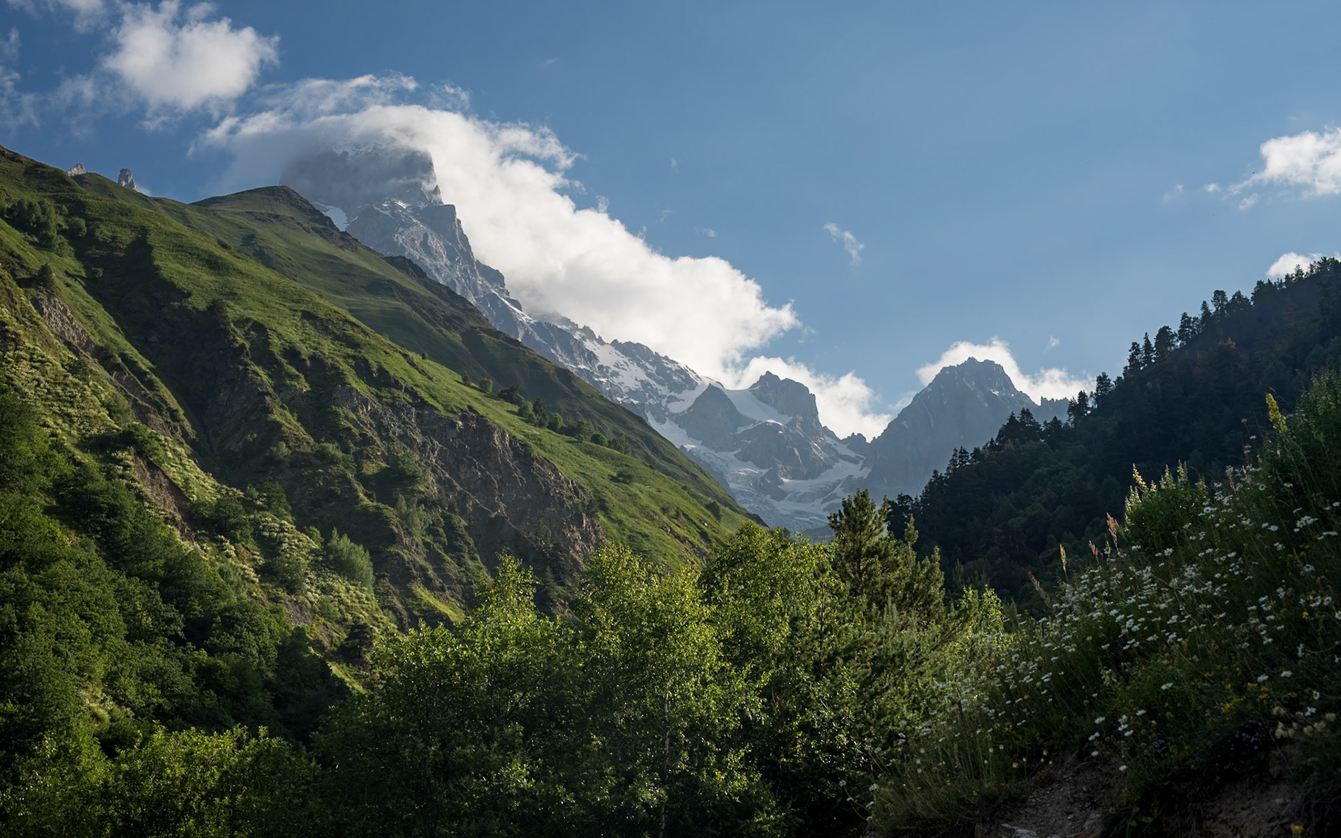 On the way up to Guli Pass with the omnipresent Mount Ushba.