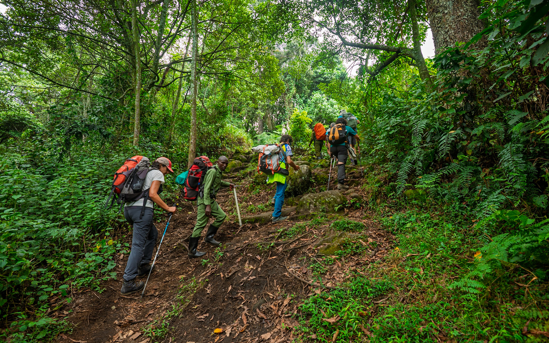 |  Rwenzori Mountains | Uganda |