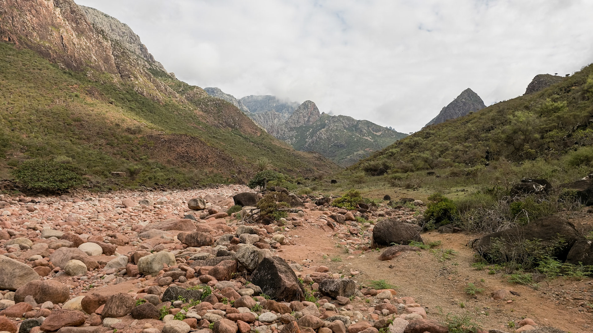 We spend the first day stretch hiking along the  Wadi Dhamdhar
