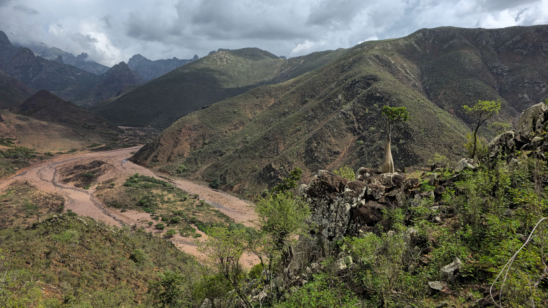 Wadi Dhamdhar Valley