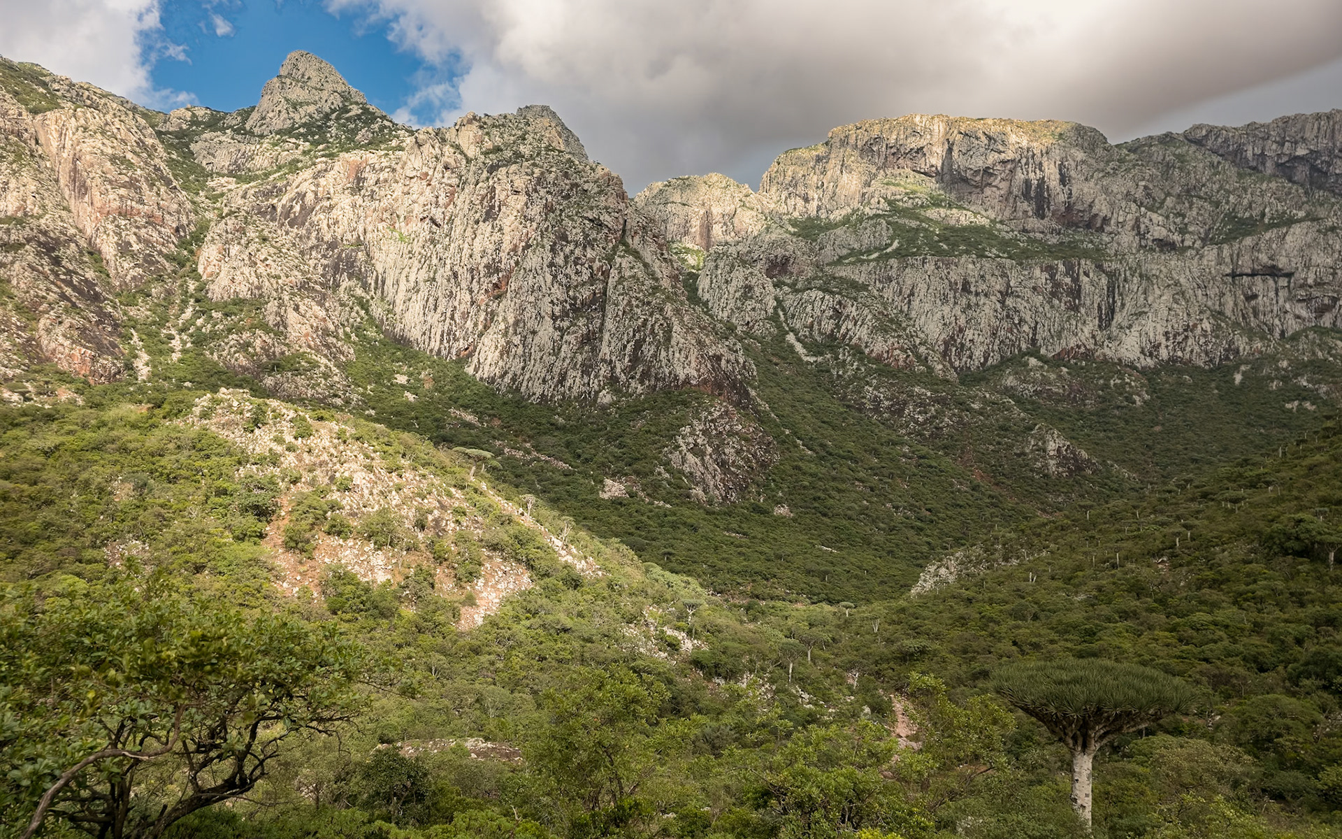 | Socotra  Oct '24 | Day 4 | October 10th | Mount Haggeher Trek | Adho di Meleh - Wadi Dhamdhar |