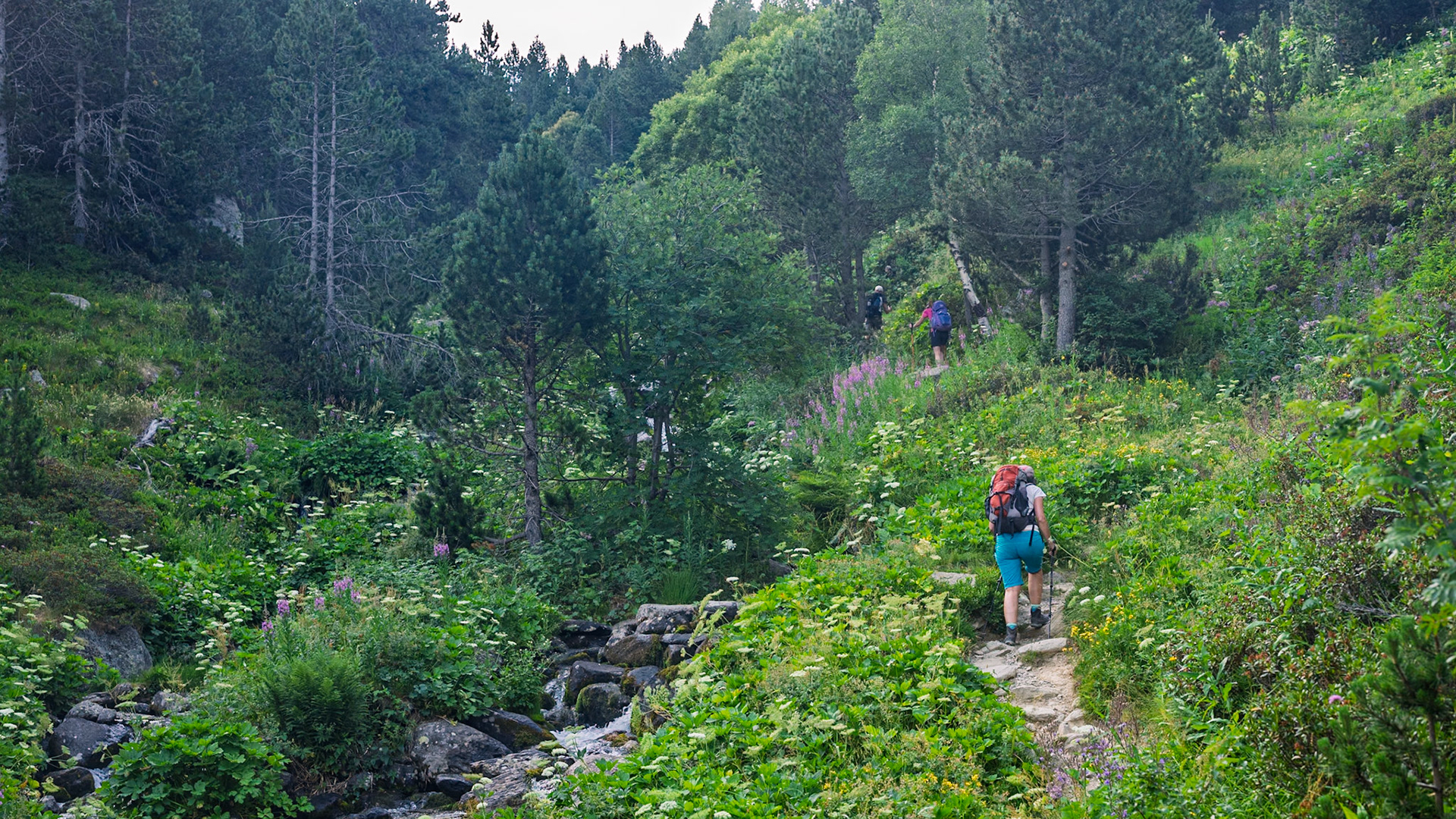 ARP 32. Soldeu - Coll de Puimorens