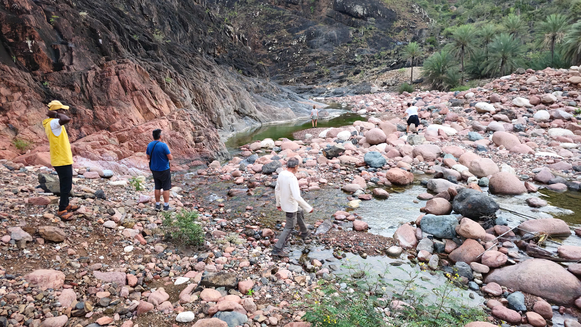 | Socotra  Oct '24 | Day 5 | October 11th | Mount Haggeher Trek | Wadi Dhamdhar - Firmihin Forest |