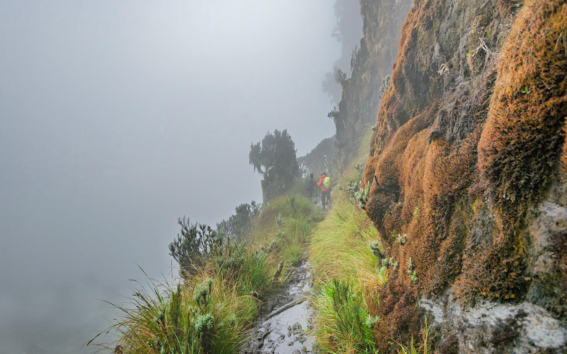 | Day 6. Kitandara Hut (4.023 m) - Guy Yeoman (3.505 m) |  Rwenzori Mountains | Uganda |  Rwenzori Mountains | Uganda |