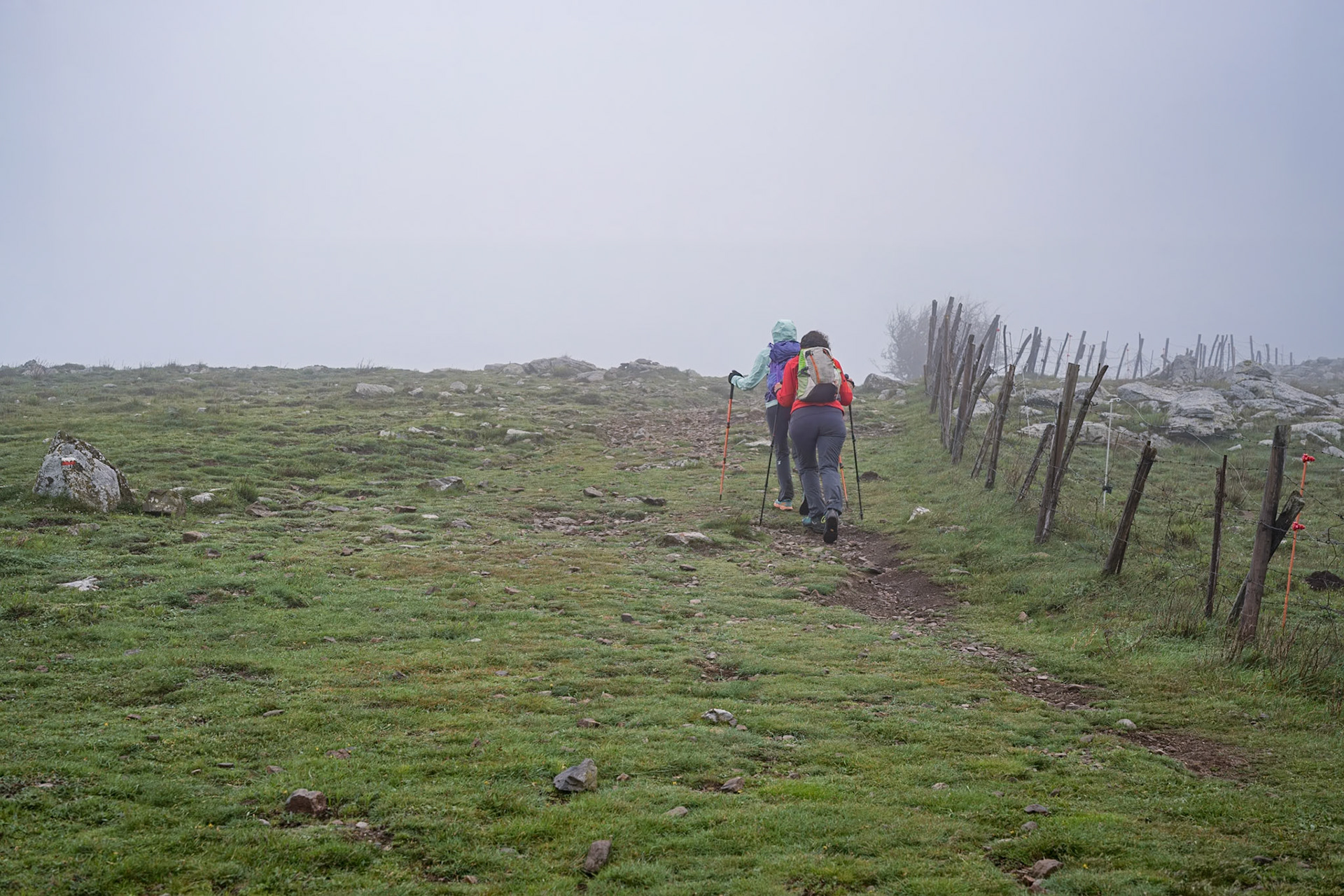 ARP 41.1. Coll de l'Ullat - Coll de Banyuls