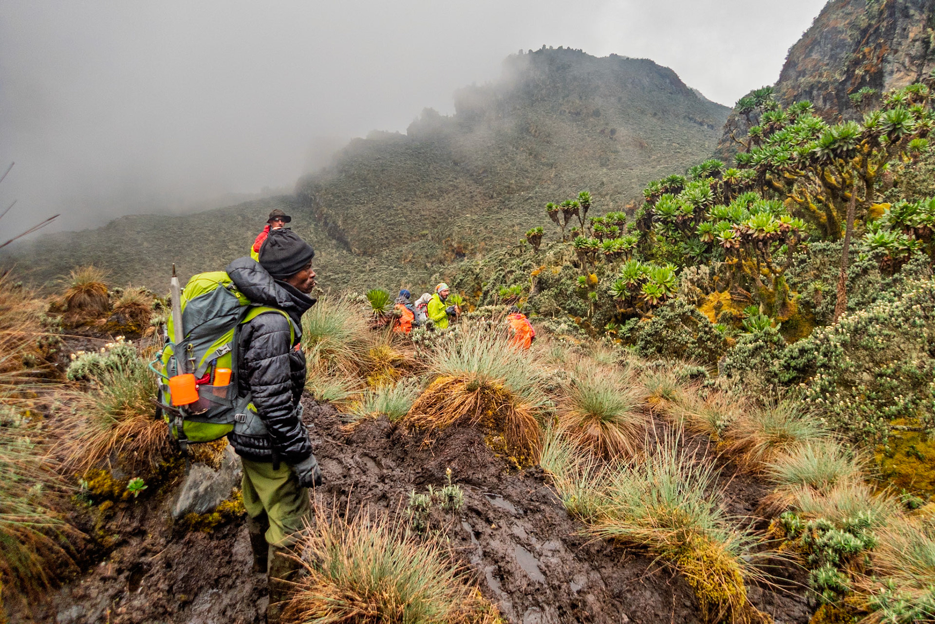 | Day 6. Kitandara Hut (4.023 m) - Guy Yeoman (3.505 m) |  Rwenzori Mountains | Uganda |  Rwenzori Mountains | Uganda |