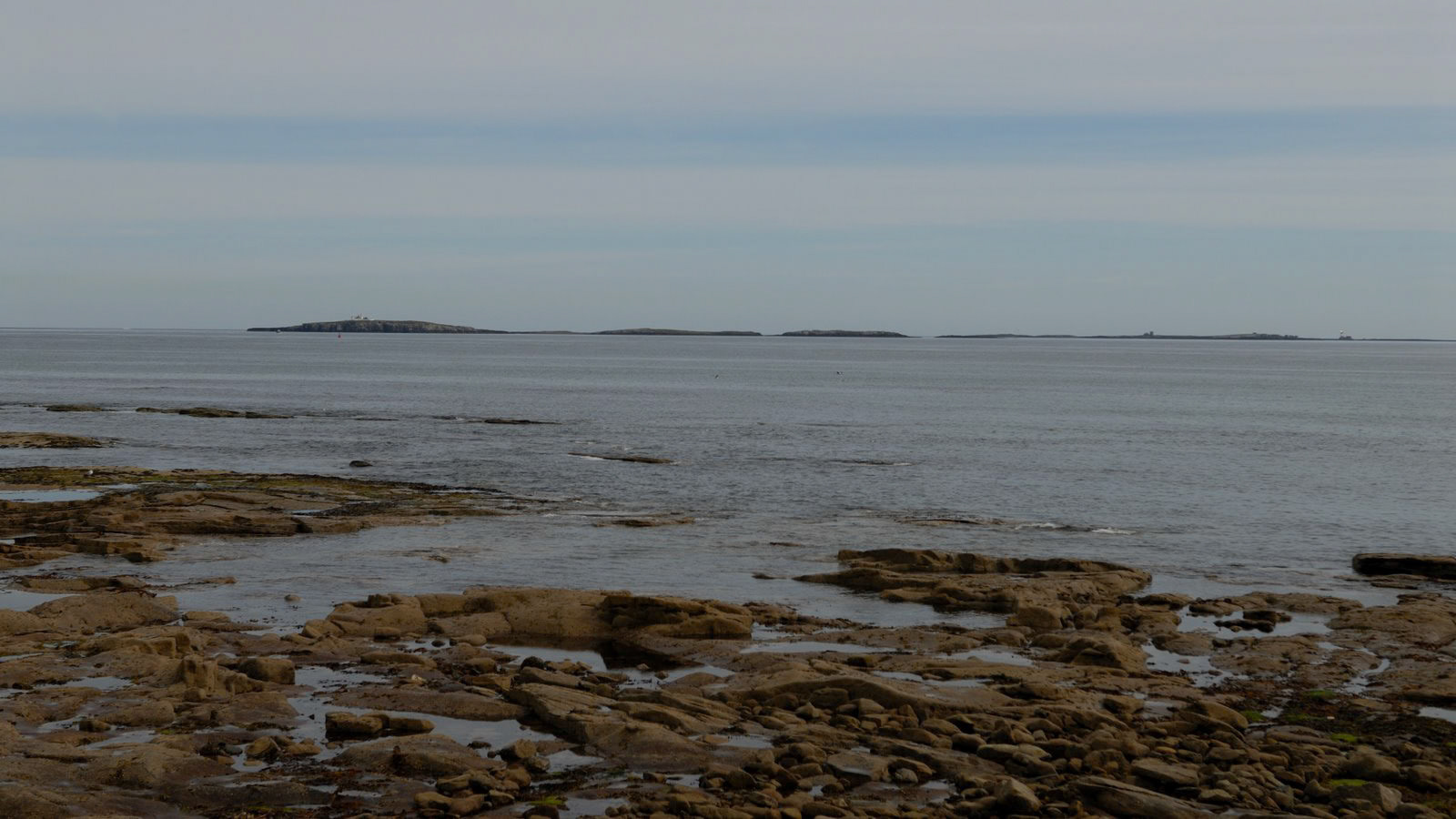 | Marshall Meadows | Berwick-upon-Tweed | Northumbria | United Kingdom |