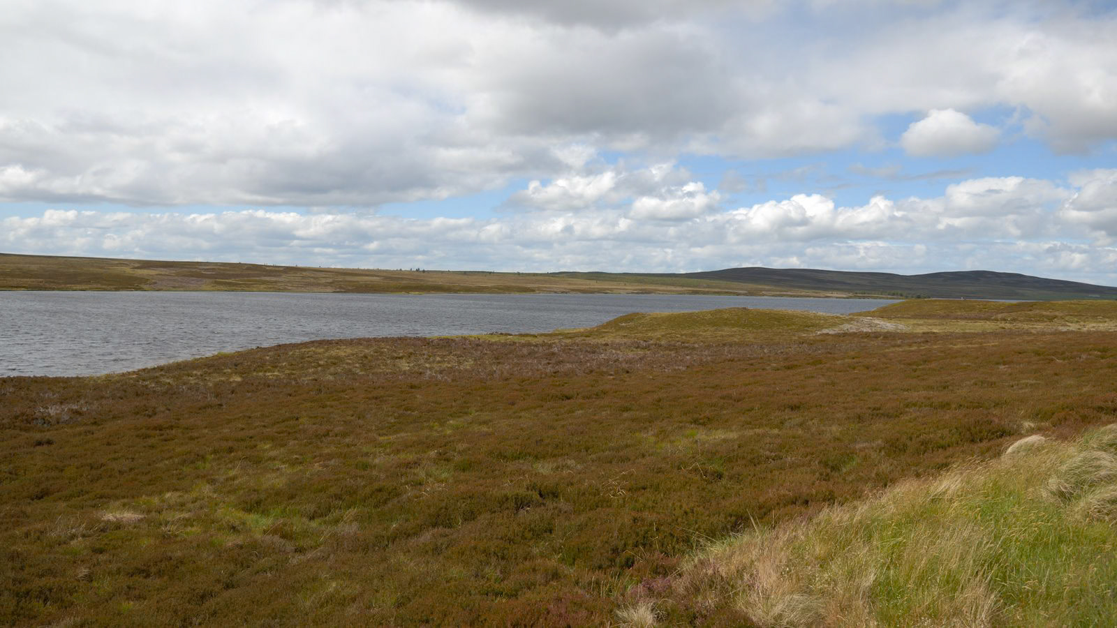 | Cairngorms National Park | Scotland  | United Kingdom |