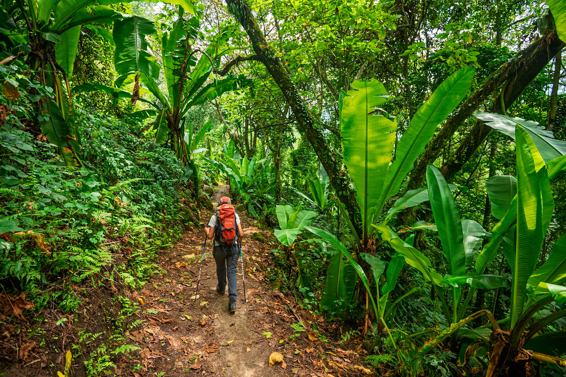 |  Rwenzori Mountains | Uganda |