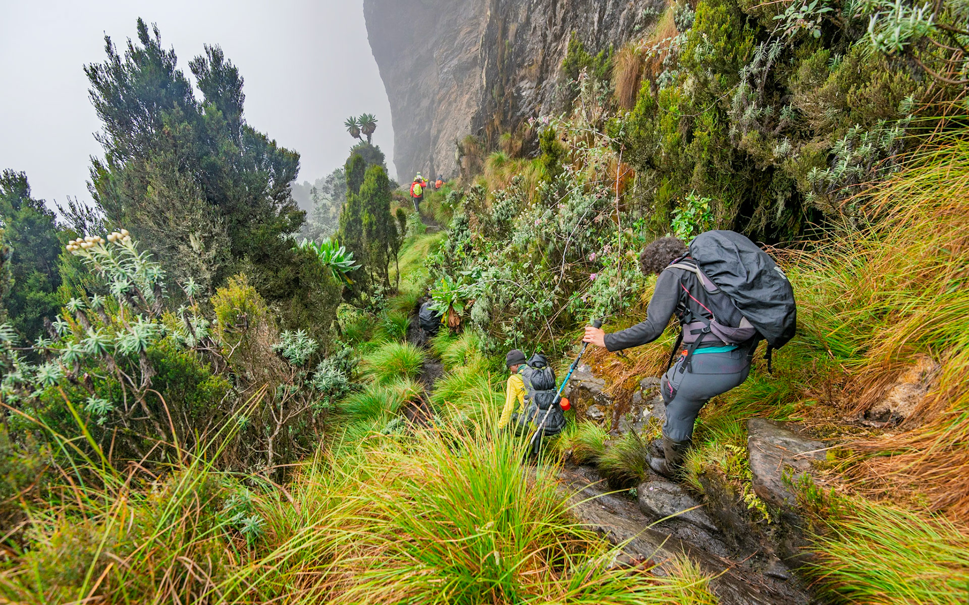 | Day 6. Kitandara Hut (4.023 m) - Guy Yeoman (3.505 m) |  Rwenzori Mountains | Uganda |  Rwenzori Mountains | Uganda |