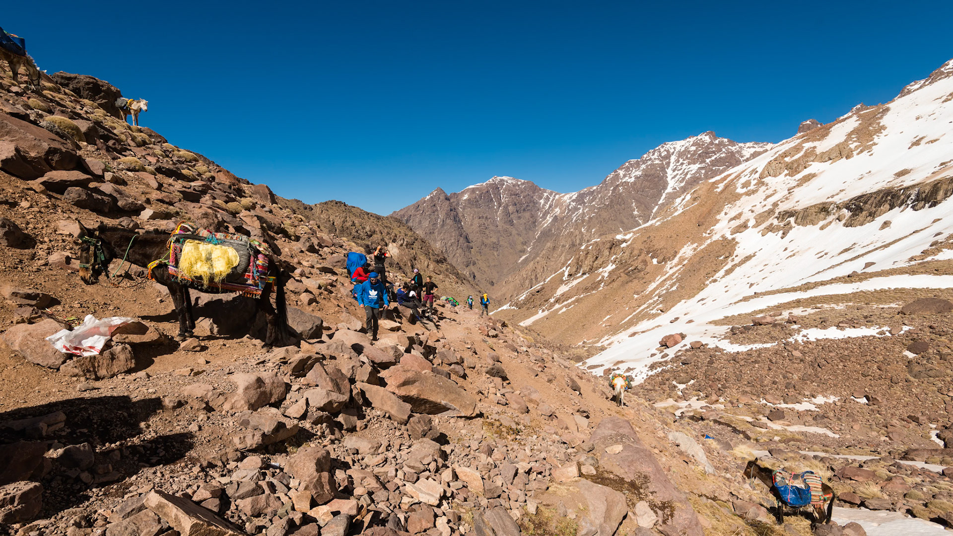 | Imlil - Refuge du Toubkal | High Atlas | Morocco |