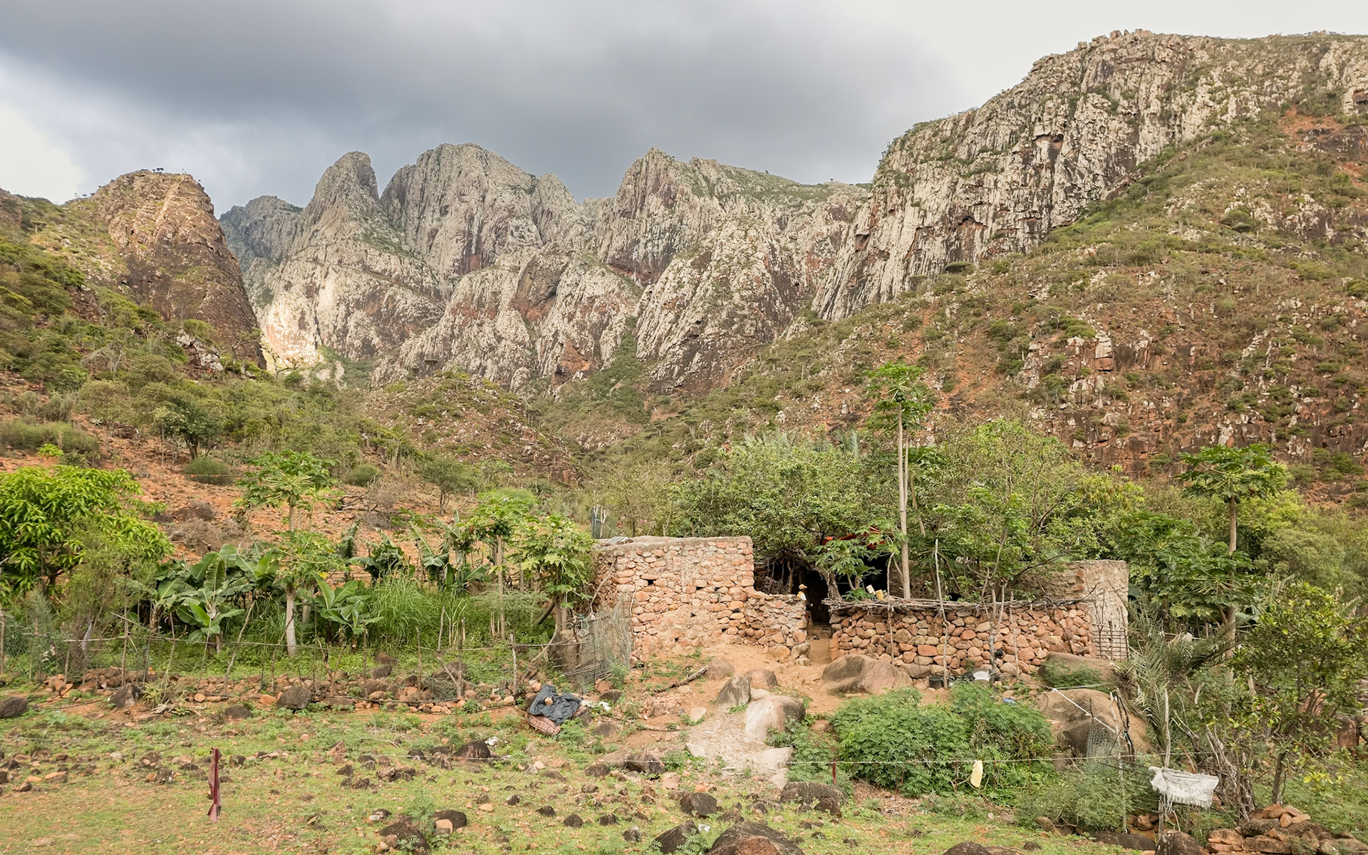 | Socotra  Oct '24 | Day 4 | October 10th | Mount Haggeher Trek | Adho di Meleh - Wadi Dhamdhar |