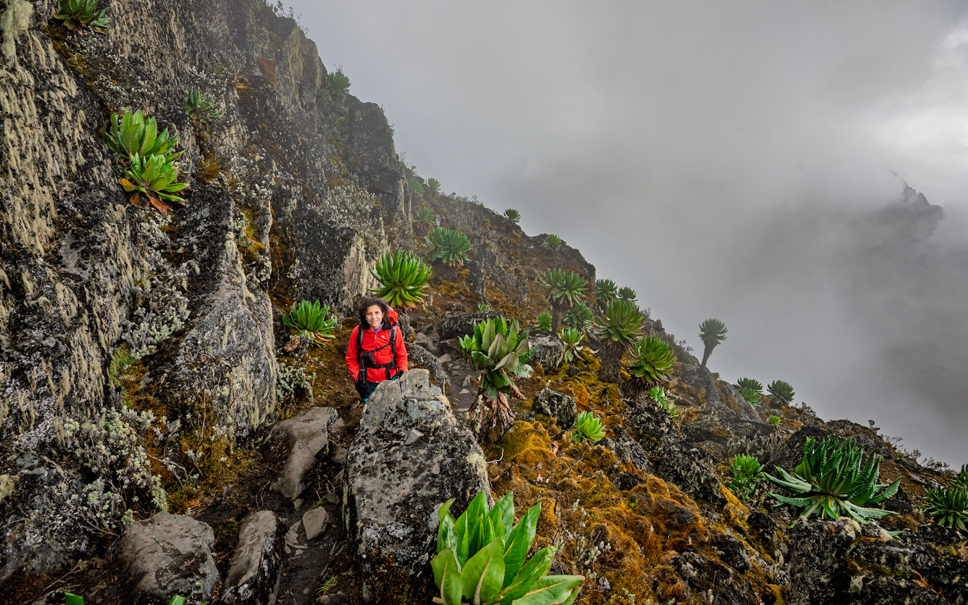 | Day 4. Bujuku Hut (3.977 m) - Elena Hut (4,541 m) |  Rwenzori Mountains | Uganda |  Rwenzori Mountains | Uganda |