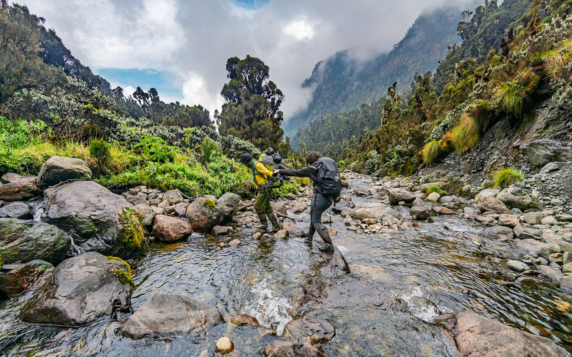 | Day 6. Kitandara Hut (4.023 m) - Guy Yeoman (3.505 m) |  Rwenzori Mountains | Uganda |  Rwenzori Mountains | Uganda |