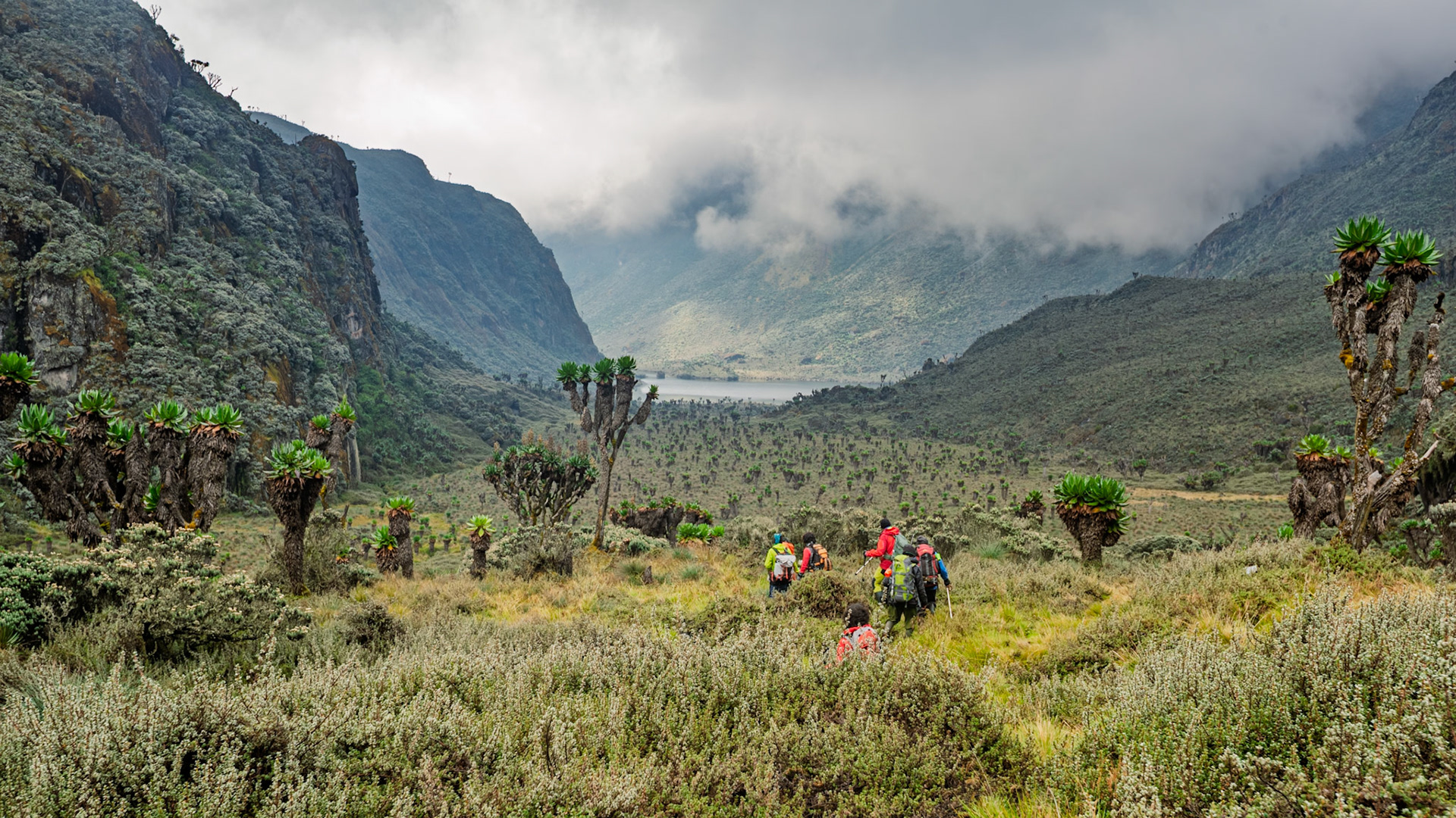 | Day 4. Bujuku Hut (3.977 m) - Elena Hut (4,541 m) |  Rwenzori Mountains | Uganda |  Rwenzori Mountains | Uganda |