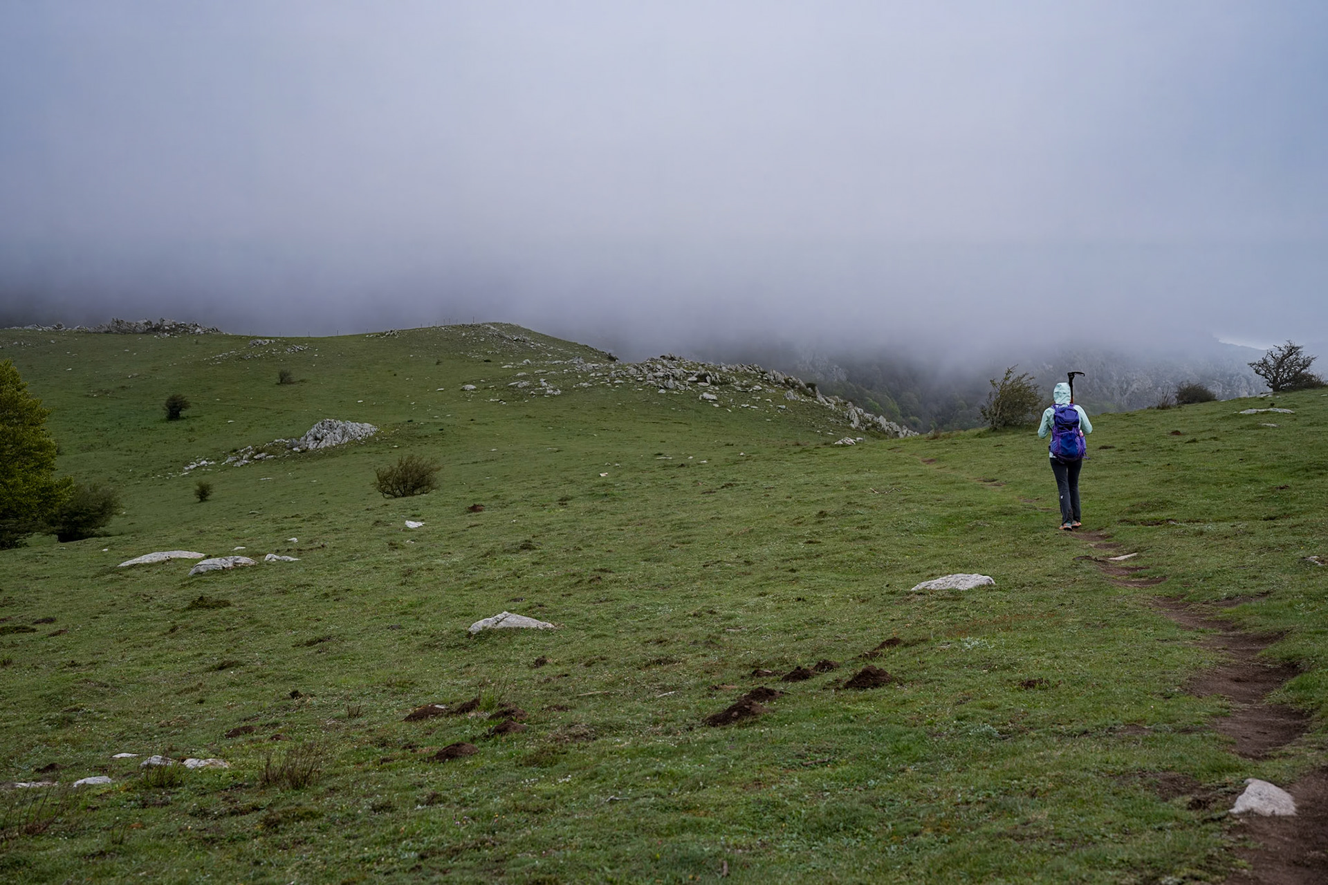 ARP 41.1. Coll de l'Ullat - Coll de Banyuls