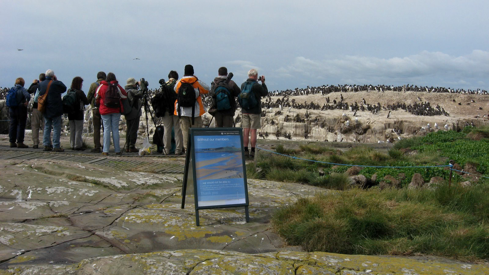 | Farne Islands | Northumbria | United Kingdom |