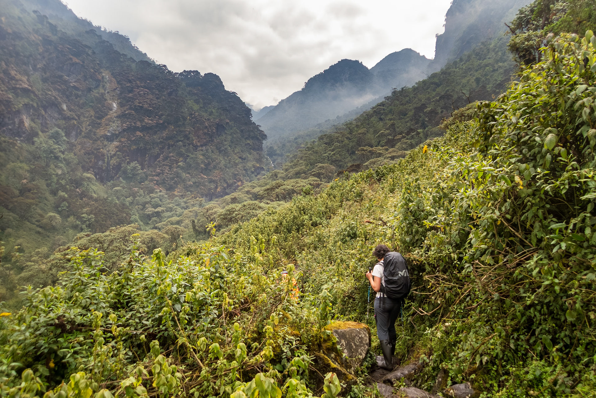 | Day 2. Nyabitabe Camp (2.651 m) - John Matte Hut (3.505 m) |  Rwenzori Mountains | Uganda | |  Rwenzori Mountains | Uganda |