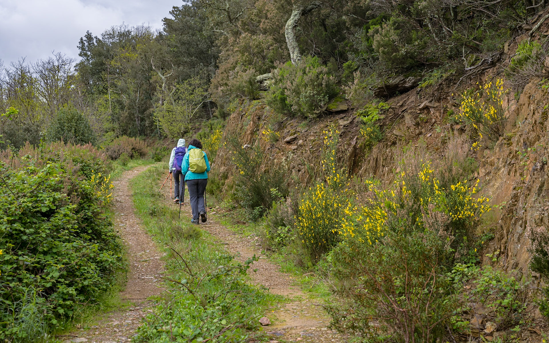 ARP 40. Les Illes - Coll de l'Ullat
