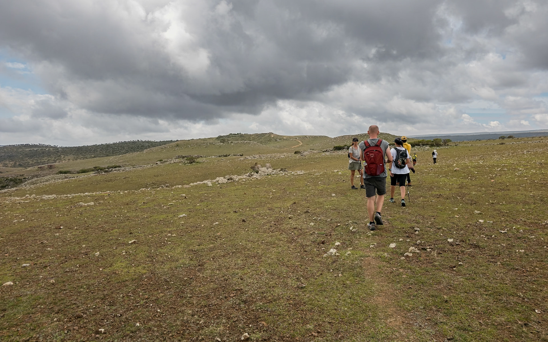 Rokeb di Firmihin Highland Plateau