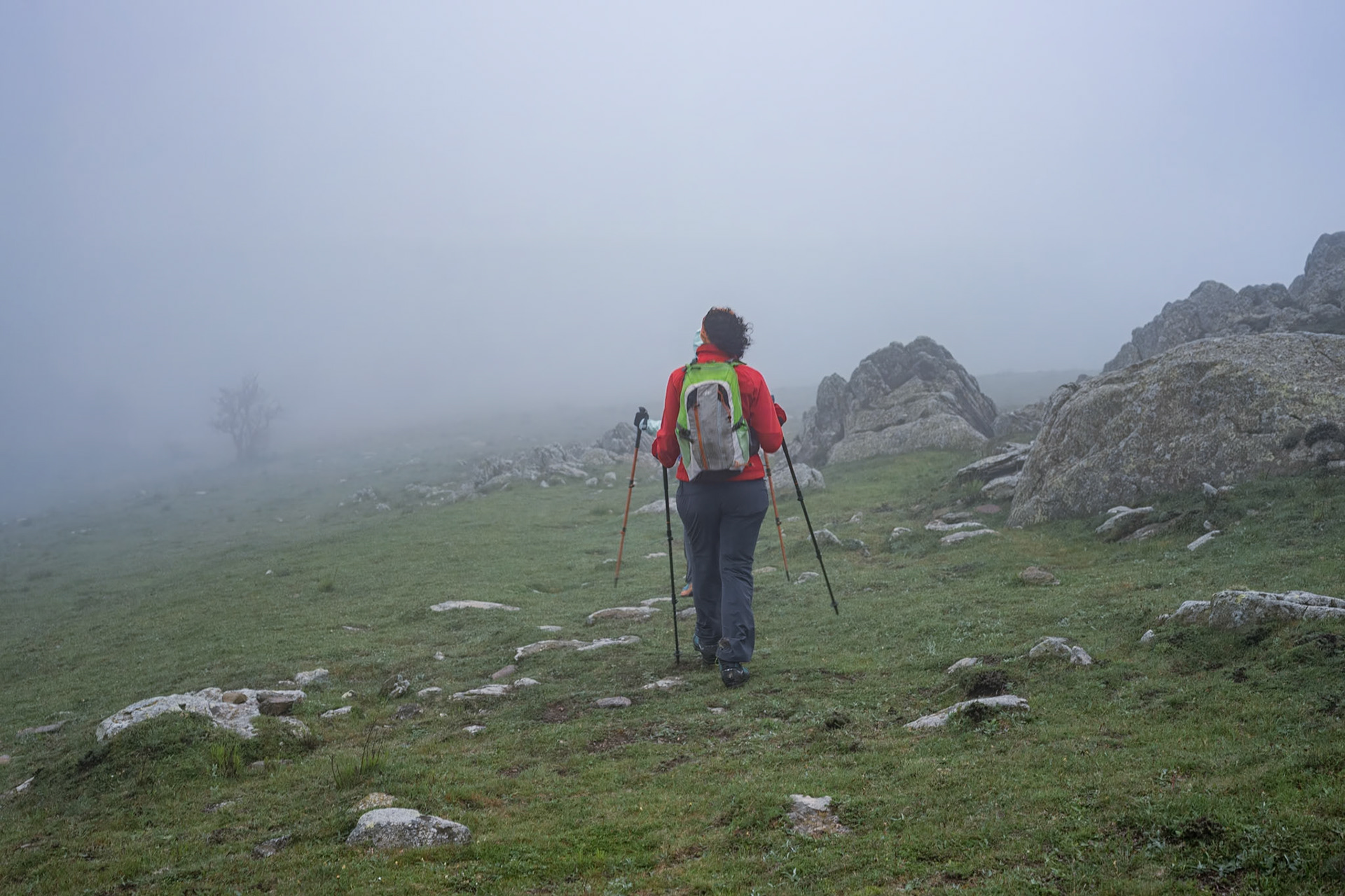 ARP 41.1. Coll de l'Ullat - Coll de Banyuls