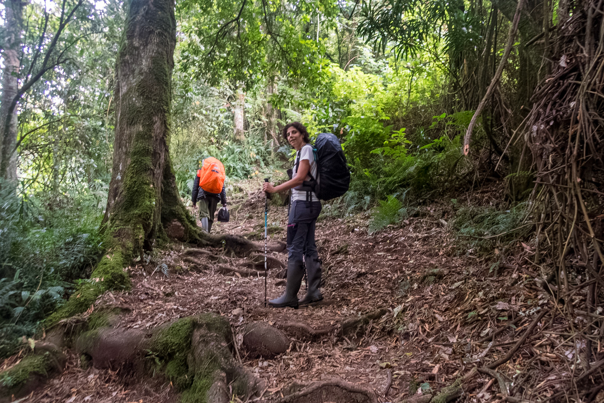 | Day 2. Nyabitabe Camp (2.651 m) - John Matte Hut (3.505 m) |  Rwenzori Mountains | Uganda | |  Rwenzori Mountains | Uganda |