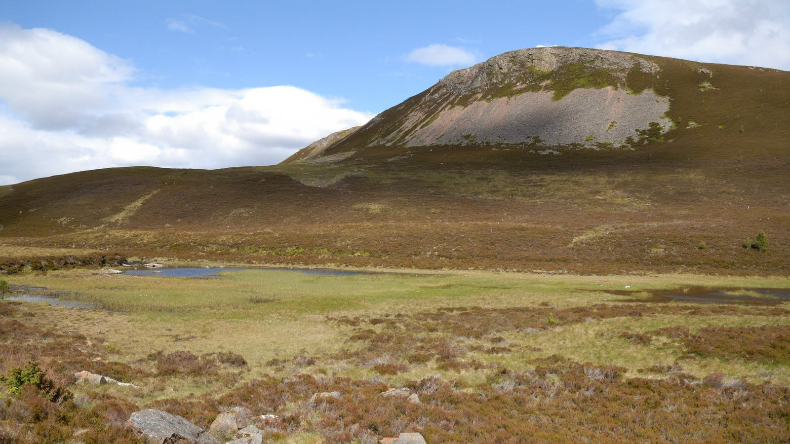 | Cairngorms National Park | Scotland  | United Kingdom |