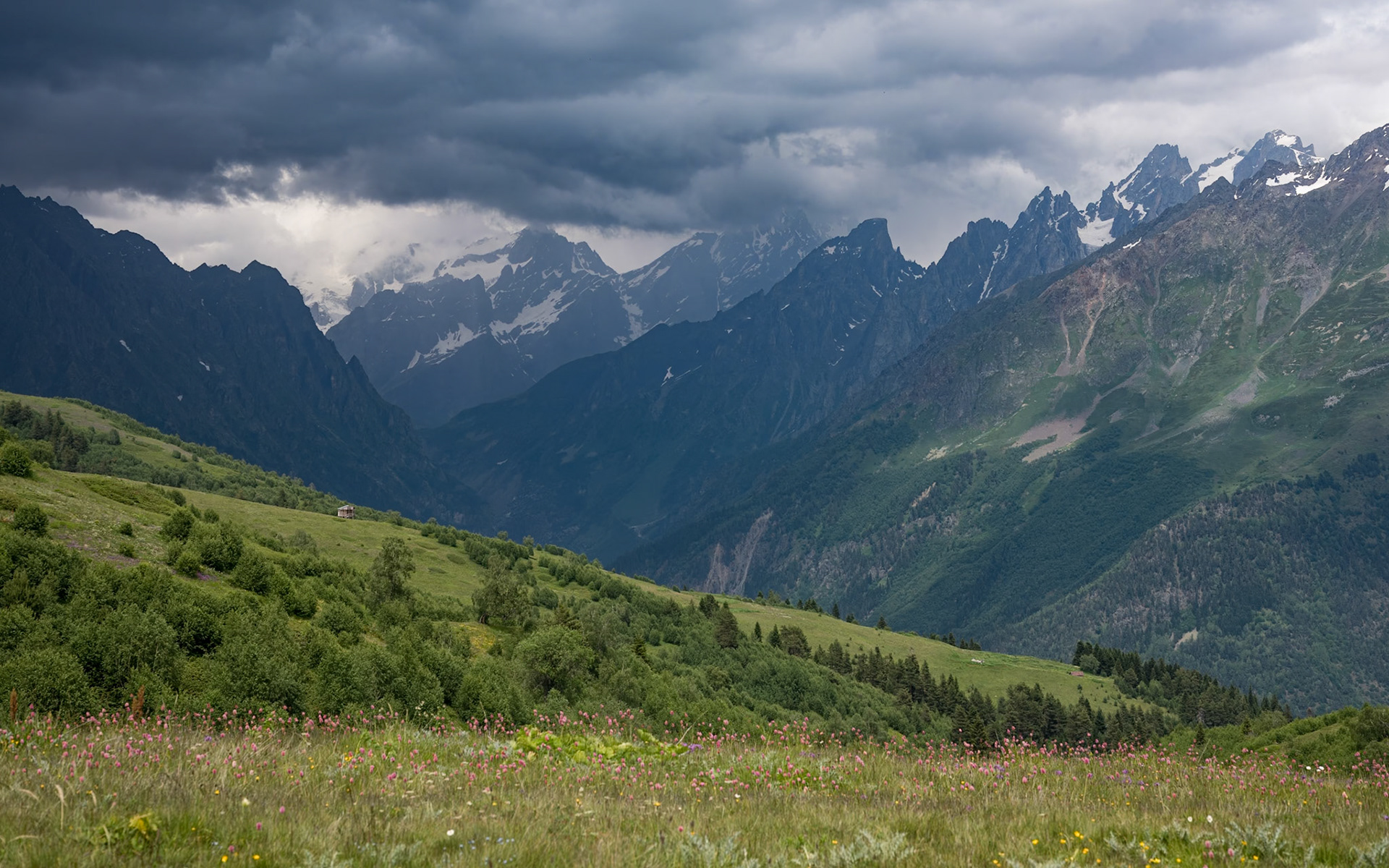 Mazeri - Mestia: Guli Pass