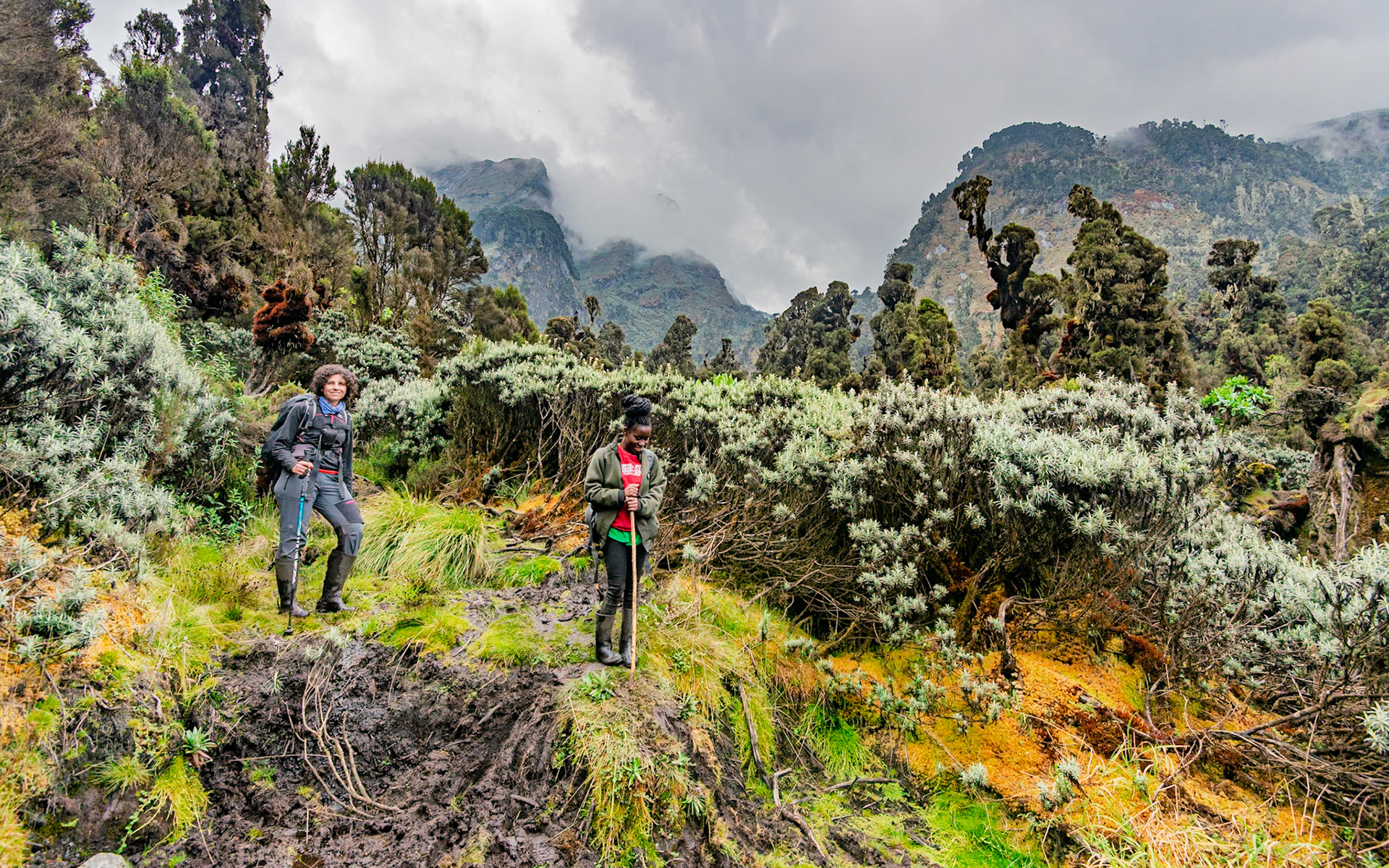| Day 6. Kitandara Hut (4.023 m) - Guy Yeoman (3.505 m) |  Rwenzori Mountains | Uganda |  Rwenzori Mountains | Uganda |