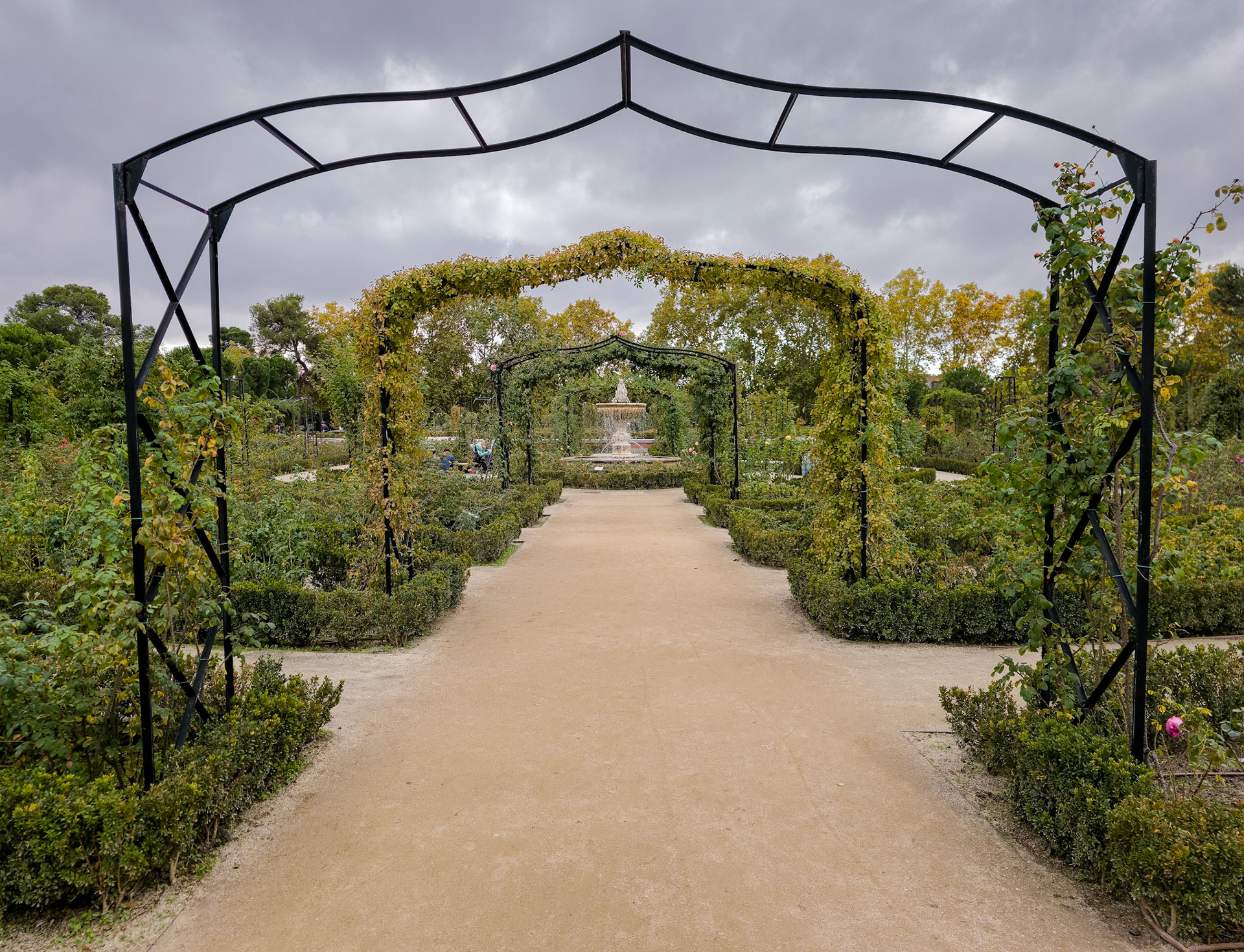 La Rosaleda, Parque del Retiro, Madrid