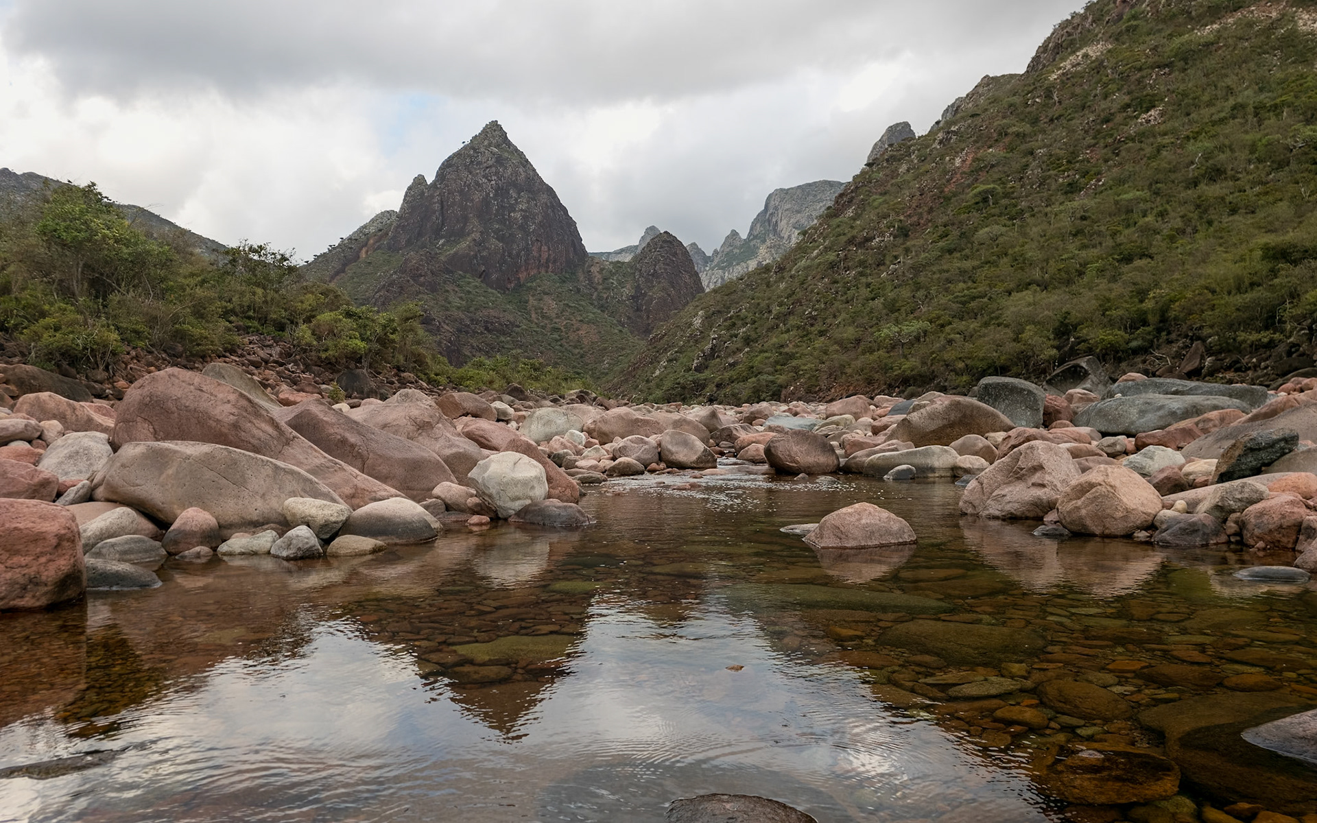 | Socotra  Oct '24 | Day 4 | October 10th | Mount Haggeher Trek | Adho di Meleh - Wadi Dhamdhar |