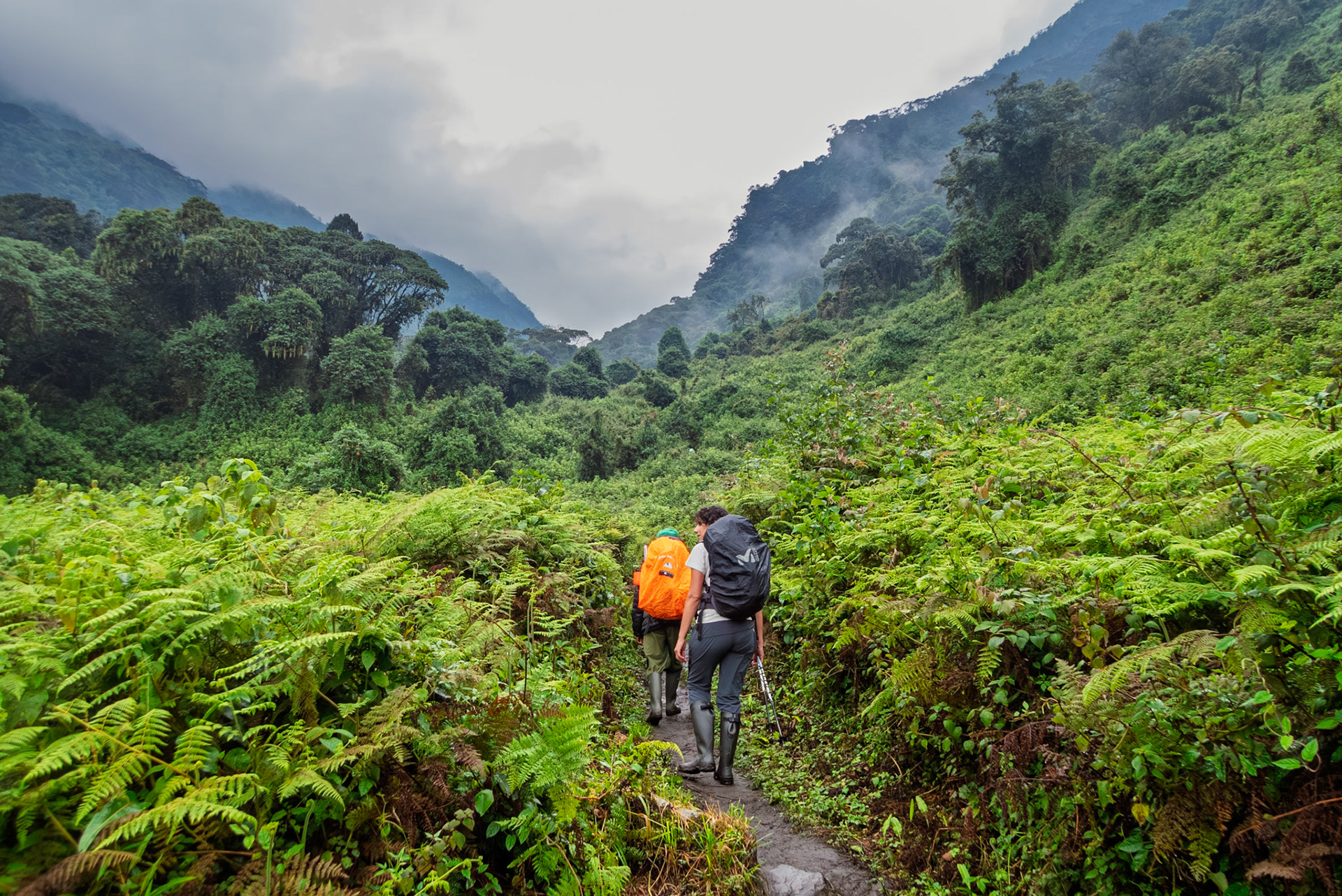 | Day 2. Nyabitabe Camp (2.651 m) - John Matte Hut (3.505 m) |  Rwenzori Mountains | Uganda | |  Rwenzori Mountains | Uganda |