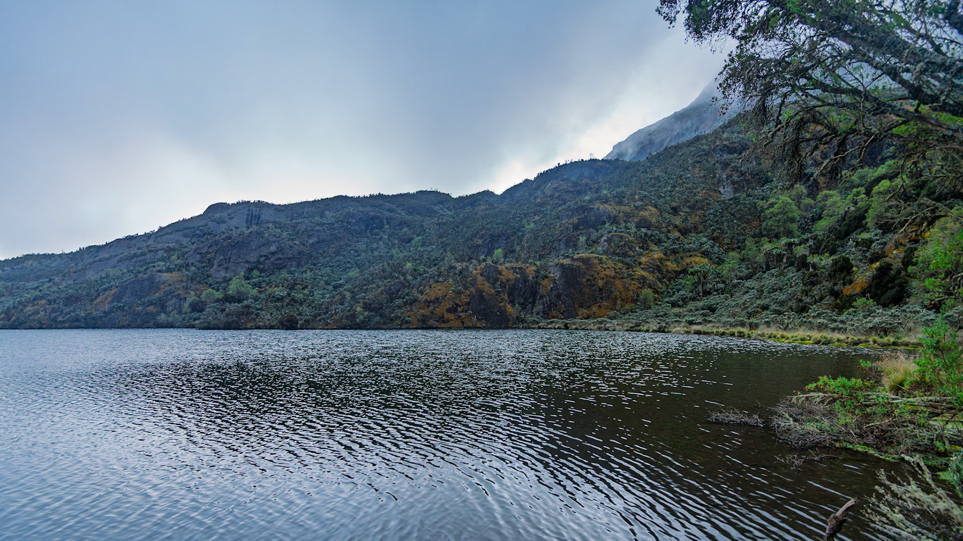 | Day 5. Elena Hut (4,541 m) - Margherita Peak (5.109 m) - Kitandara Hut (4.023 m)  |  Rwenzori Mountains | Uganda |  Rwenzori Mountains | Uganda |