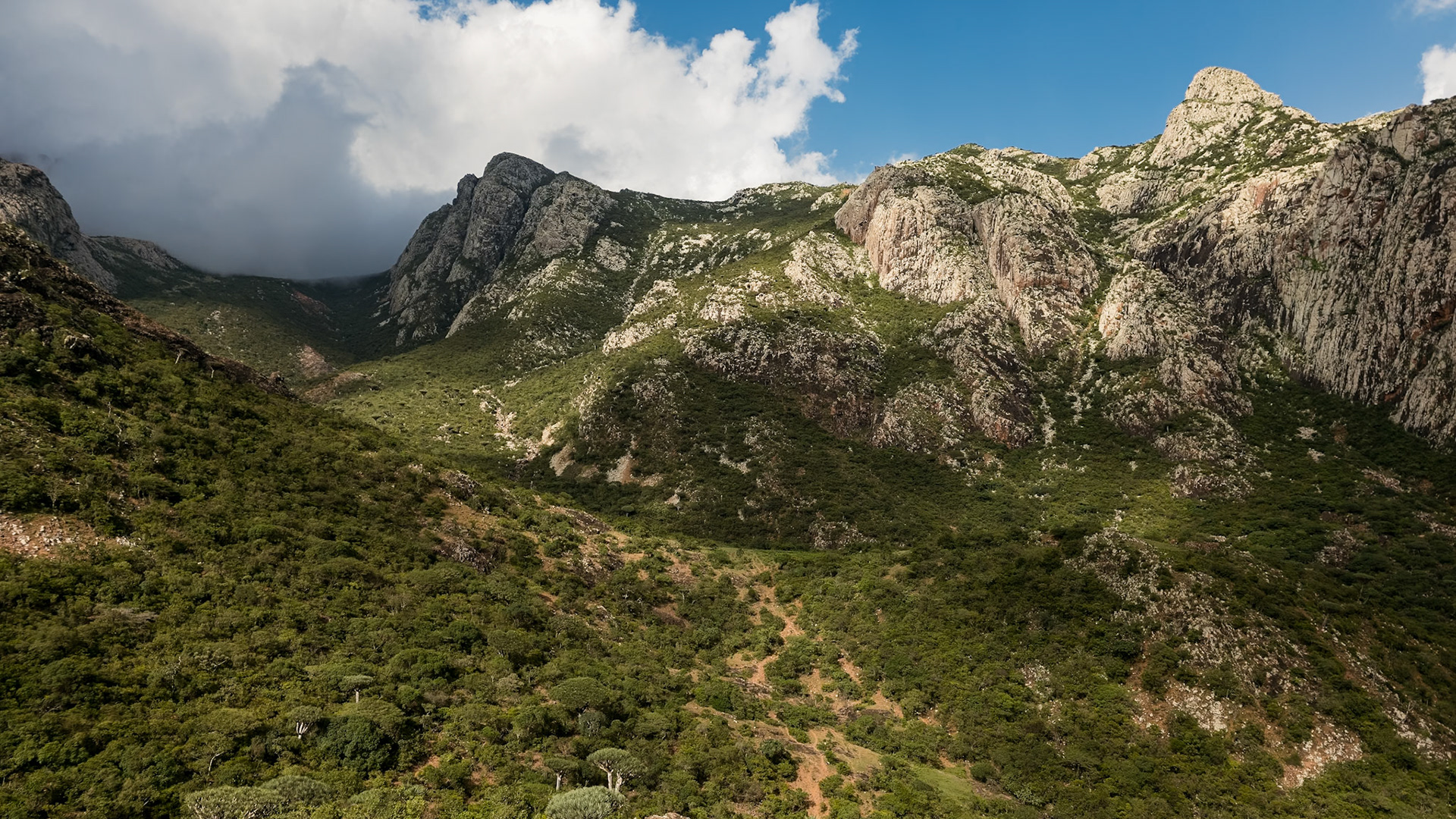 | Socotra  Oct '24 | Day 4 | October 10th | Mount Haggeher Trek | Adho di Meleh - Wadi Dhamdhar |