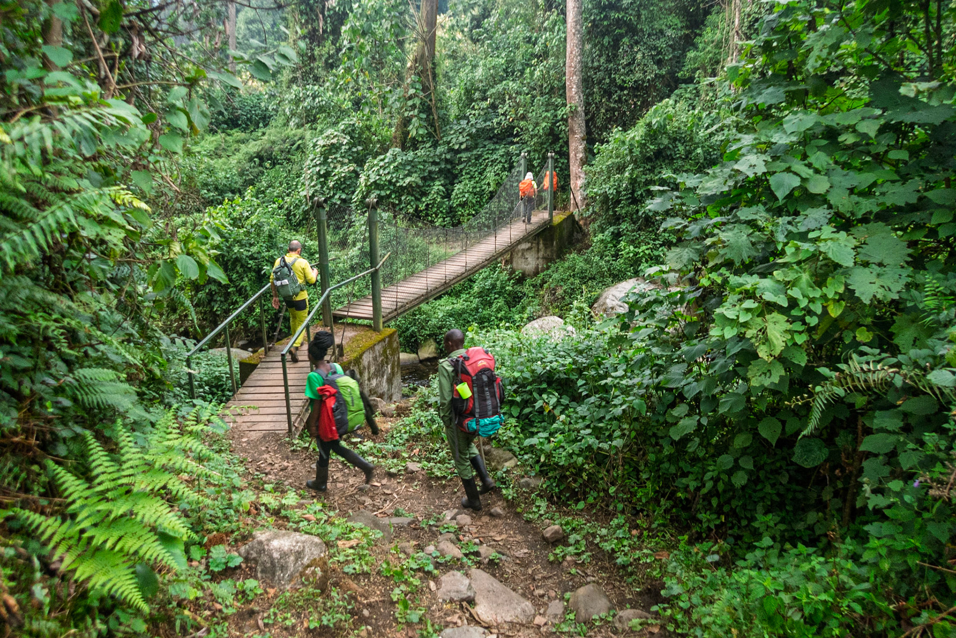 | Day 7. Guy Yeoman (3.505 m) - Trailhead |  Rwenzori Mountains | Uganda |  Rwenzori Mountains | Uganda |