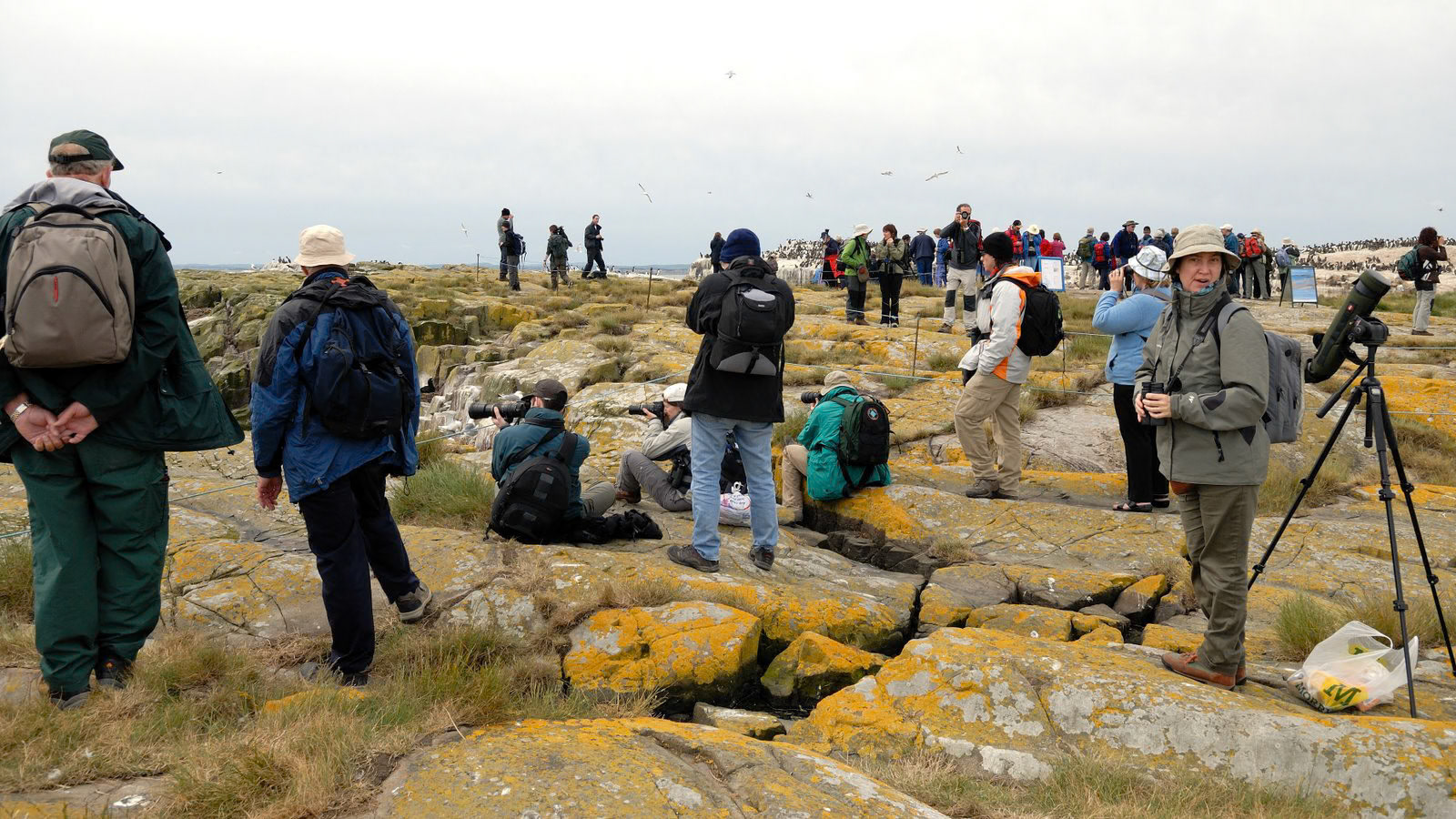 | Farne Islands | Northumbria | United Kingdom |