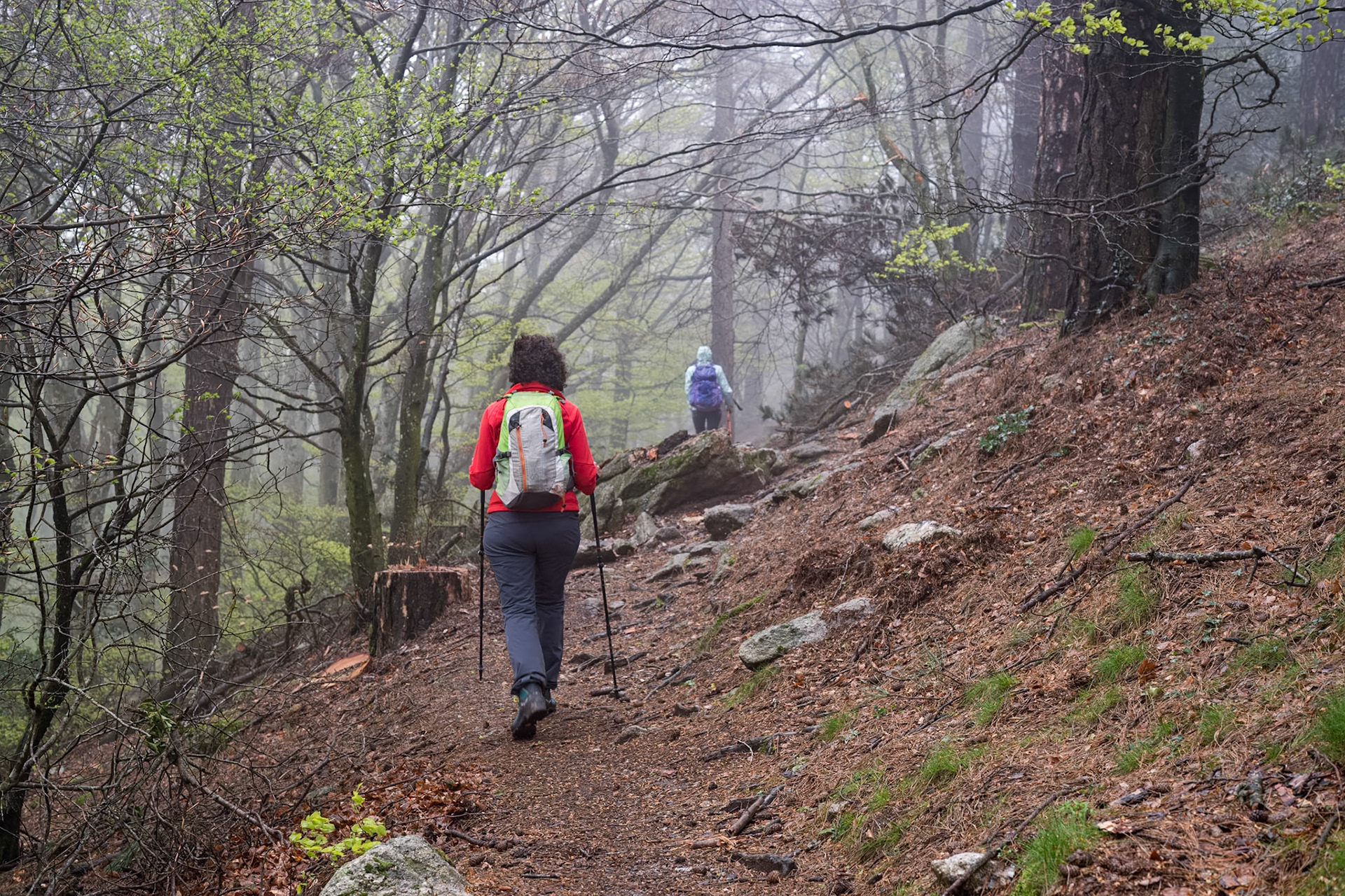 ARP 41.1. Coll de l'Ullat - Coll de Banyuls