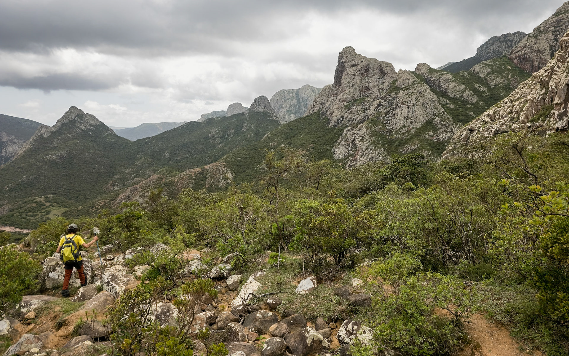 | Socotra  Oct '24 | Day 4 | October 10th | Mount Haggeher Trek | Adho di Meleh - Wadi Dhamdhar |