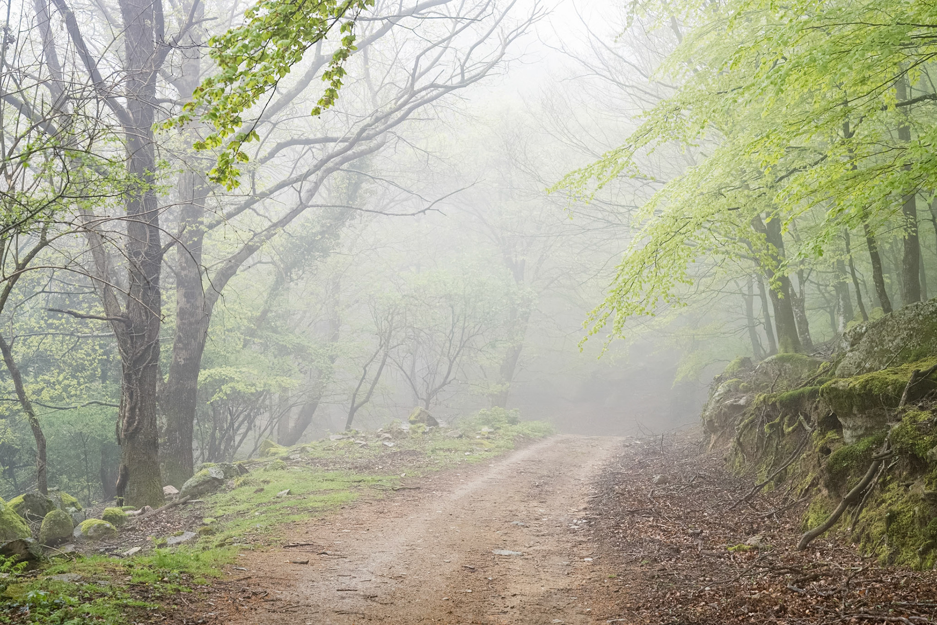 ARP 40. Les Illes - Coll de l'Ullat